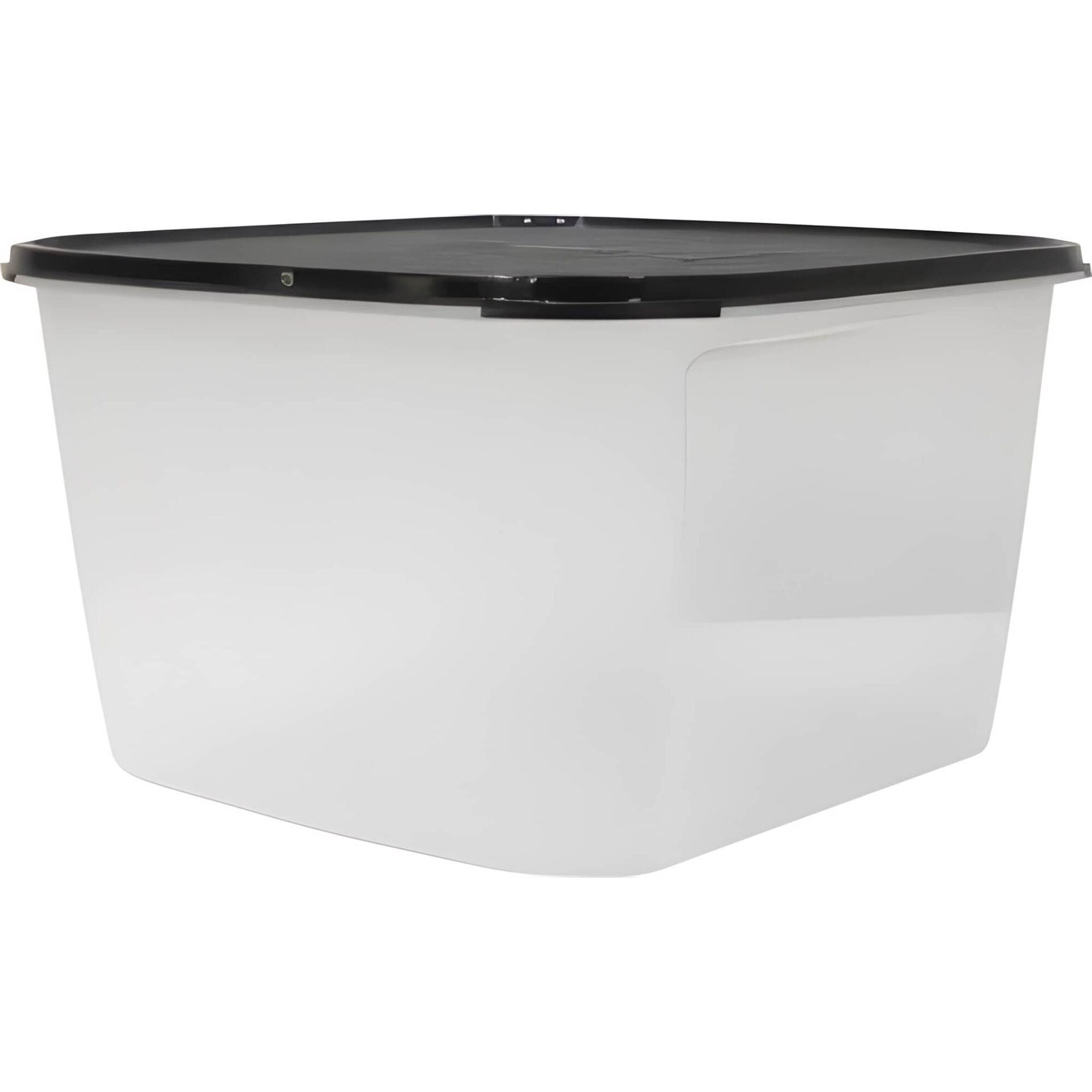 Recipiente de Armazenamento Tupperware
