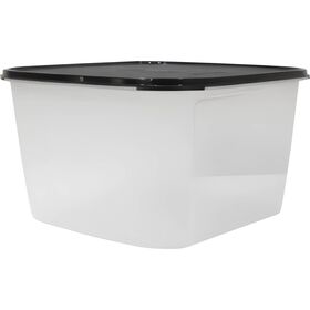 Recipiente de Armazenamento Tupperware