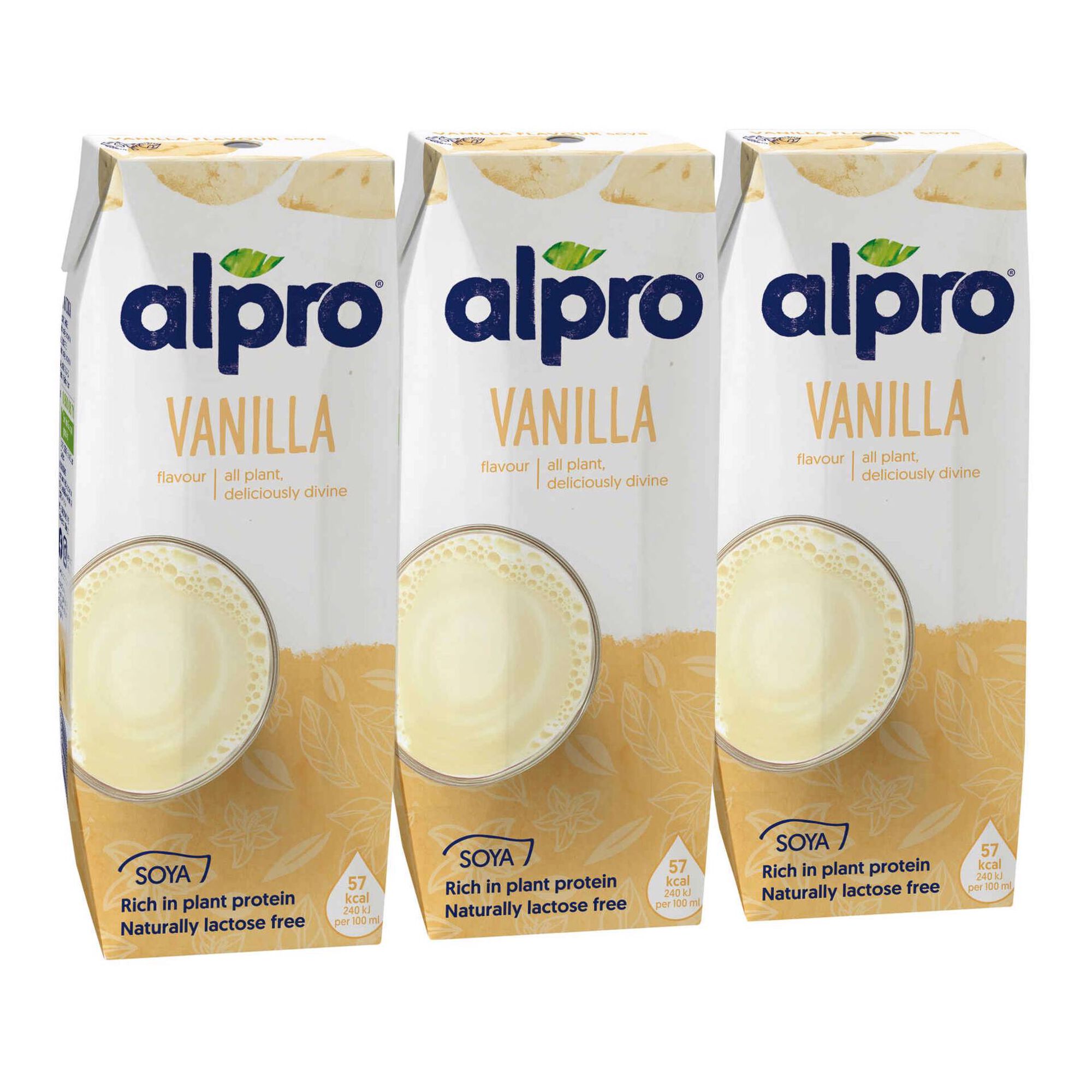 Bebida Vegetal de Soja Baunilha sem Lactose Bebida Vegetal de Soja Baunilha sem Lactose