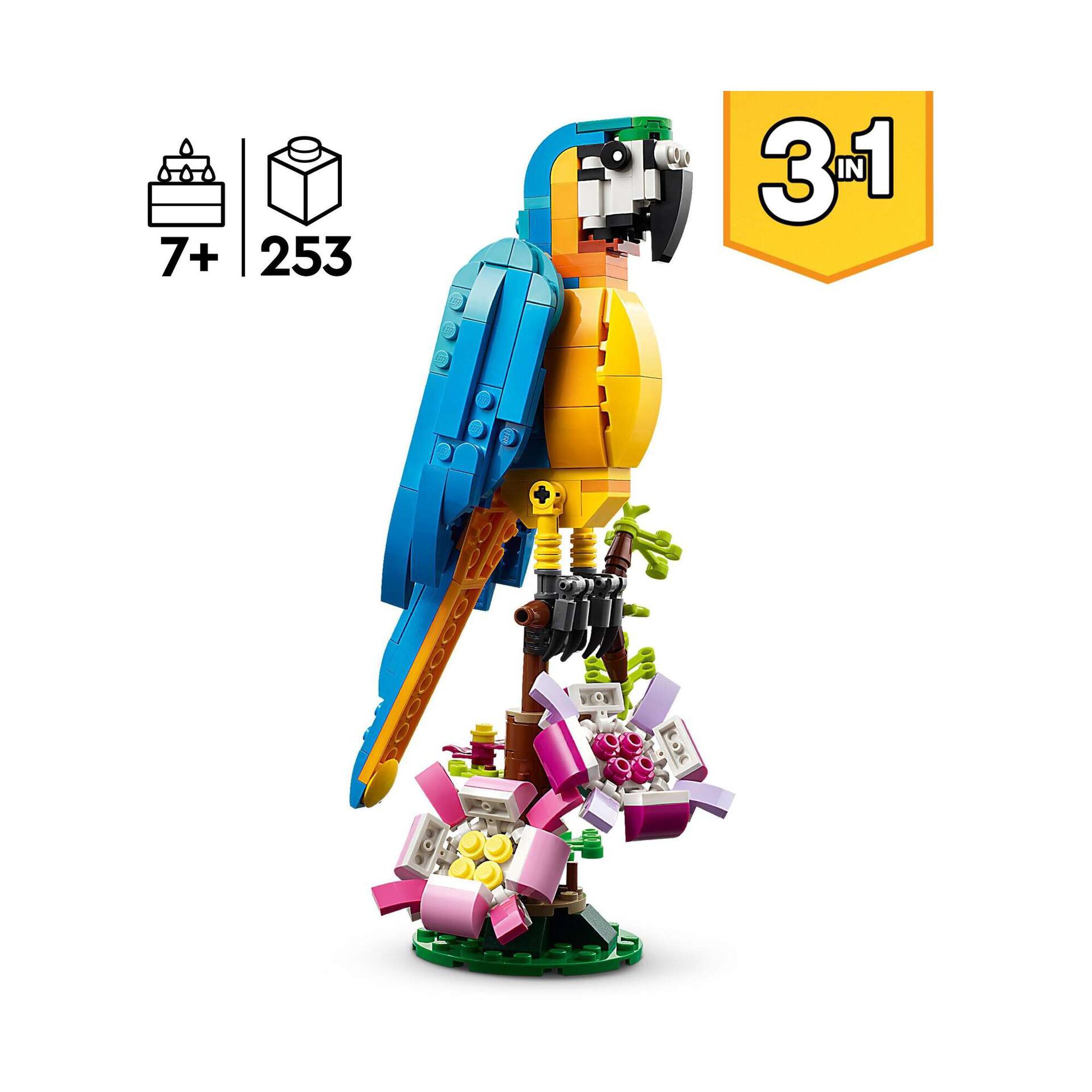 Papagaio Exótico - 31136 Papagaio Exótico - 31136