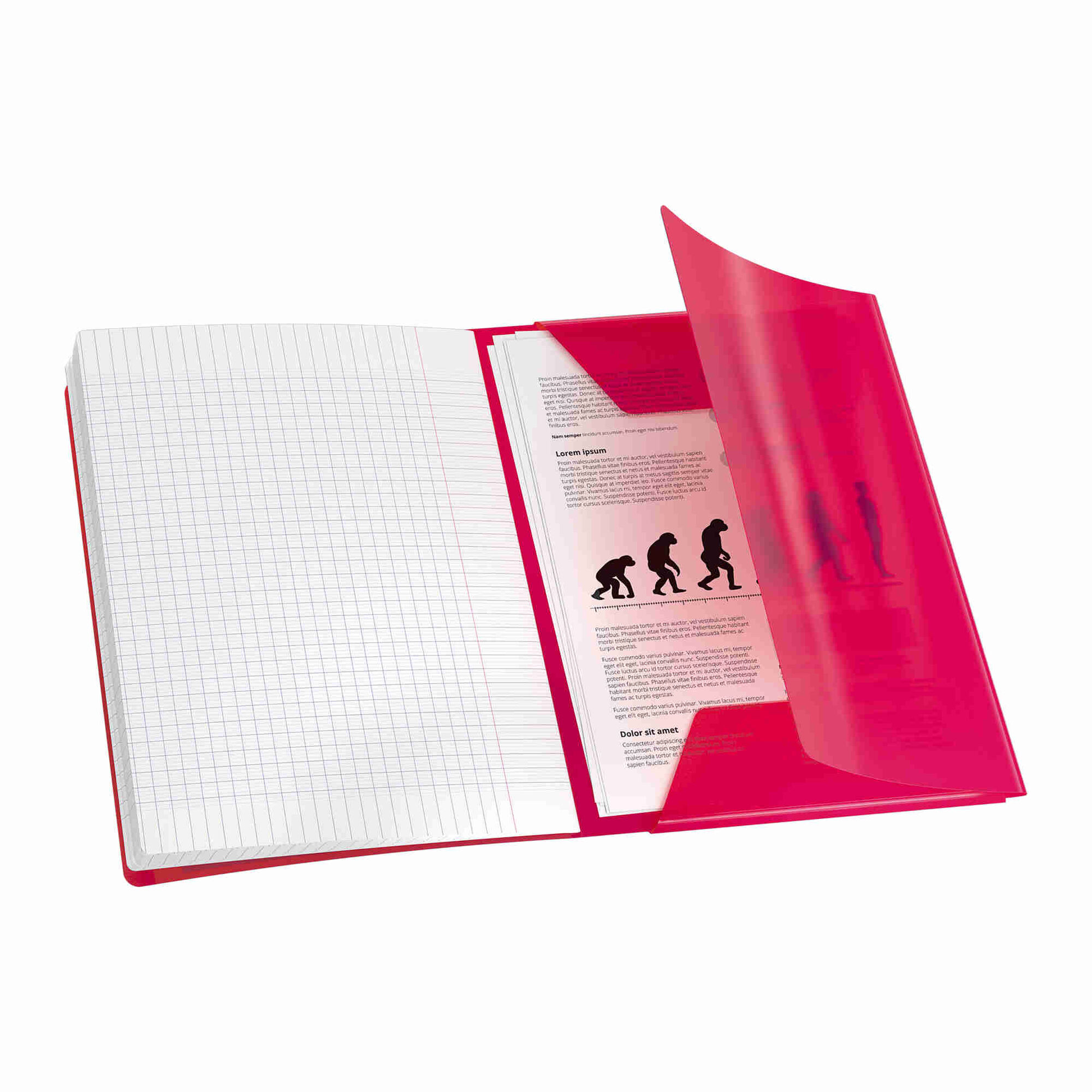 Caderno Agrafado A4 Quadriculado (v&aacute;rias cores) Oxford