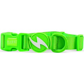 Coleira para C&atilde;o Verde Neon S Dashi