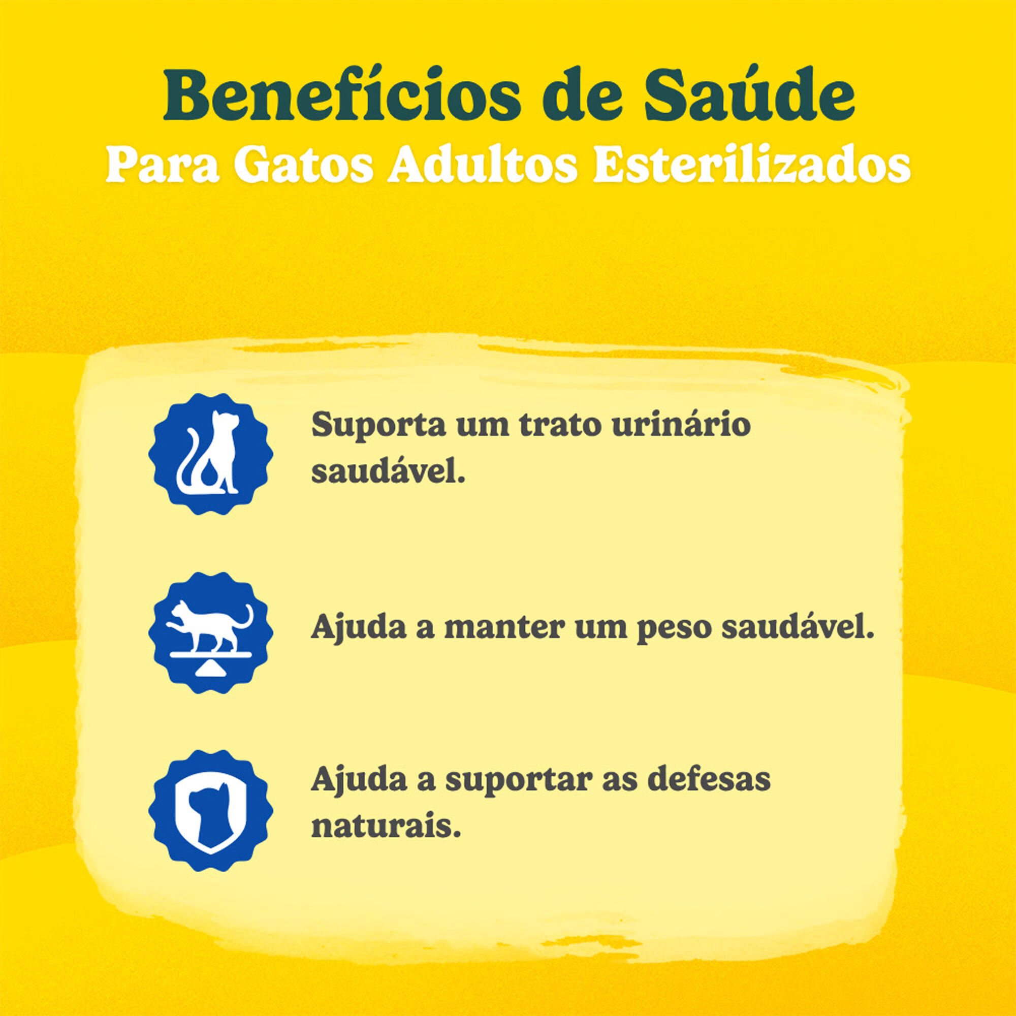 Ra&ccedil;&atilde;o para Gato Adulto Esterilizado Salm&atilde;o Purina Friskies
