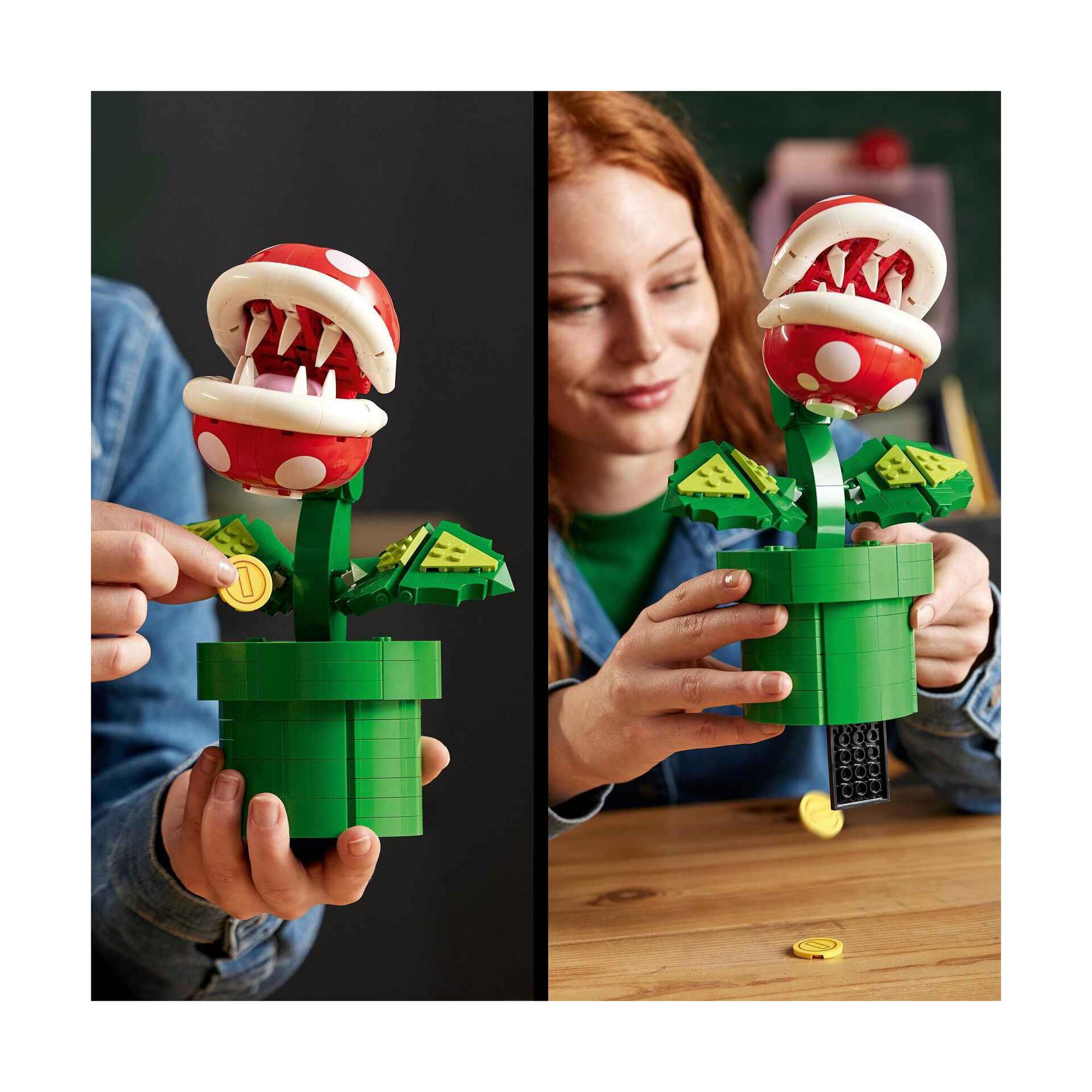 Planta Piranha - 71426 Planta Piranha - 71426