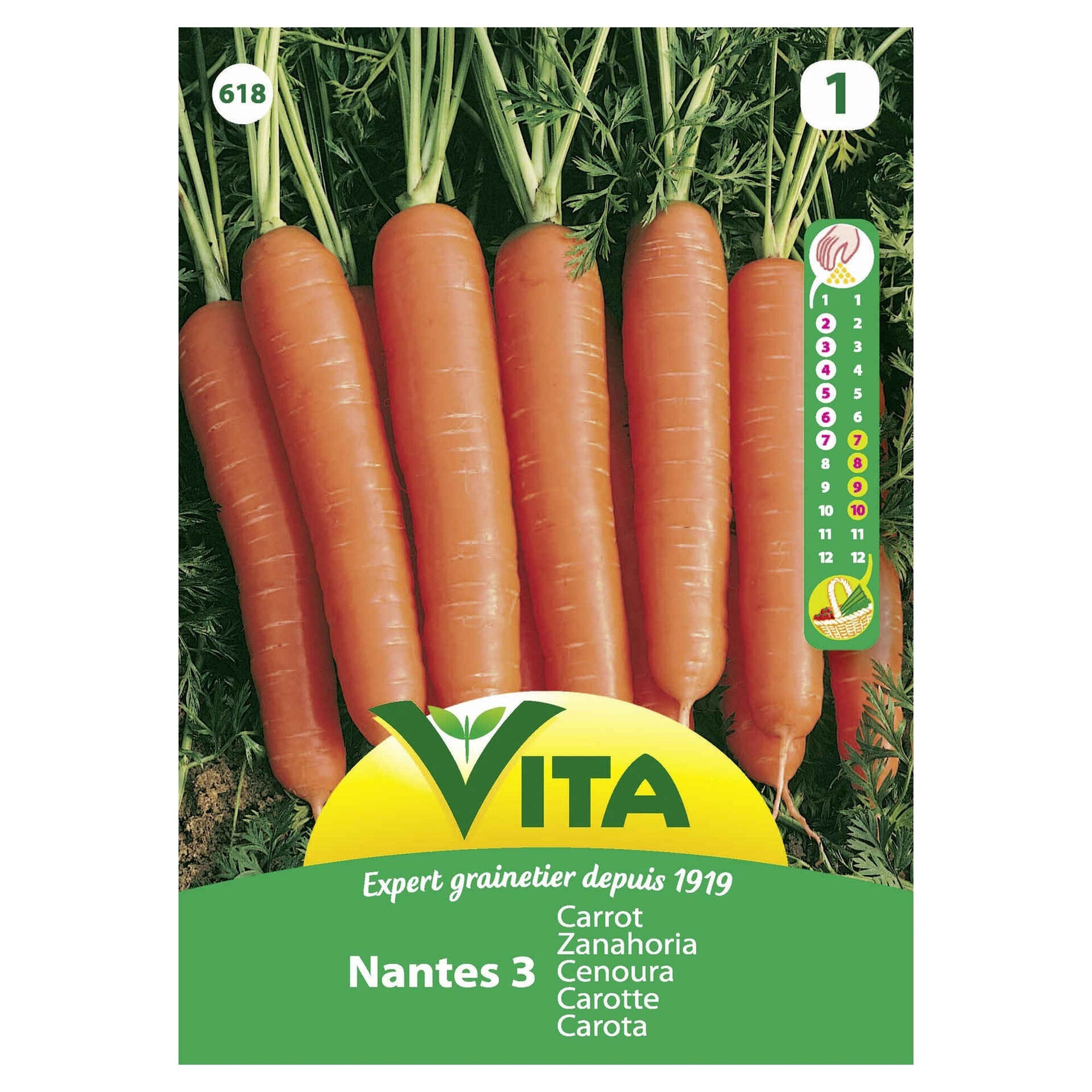 Sementes Hortícolas Cenoura Nantes Sementes Hortícolas Cenoura Nantes