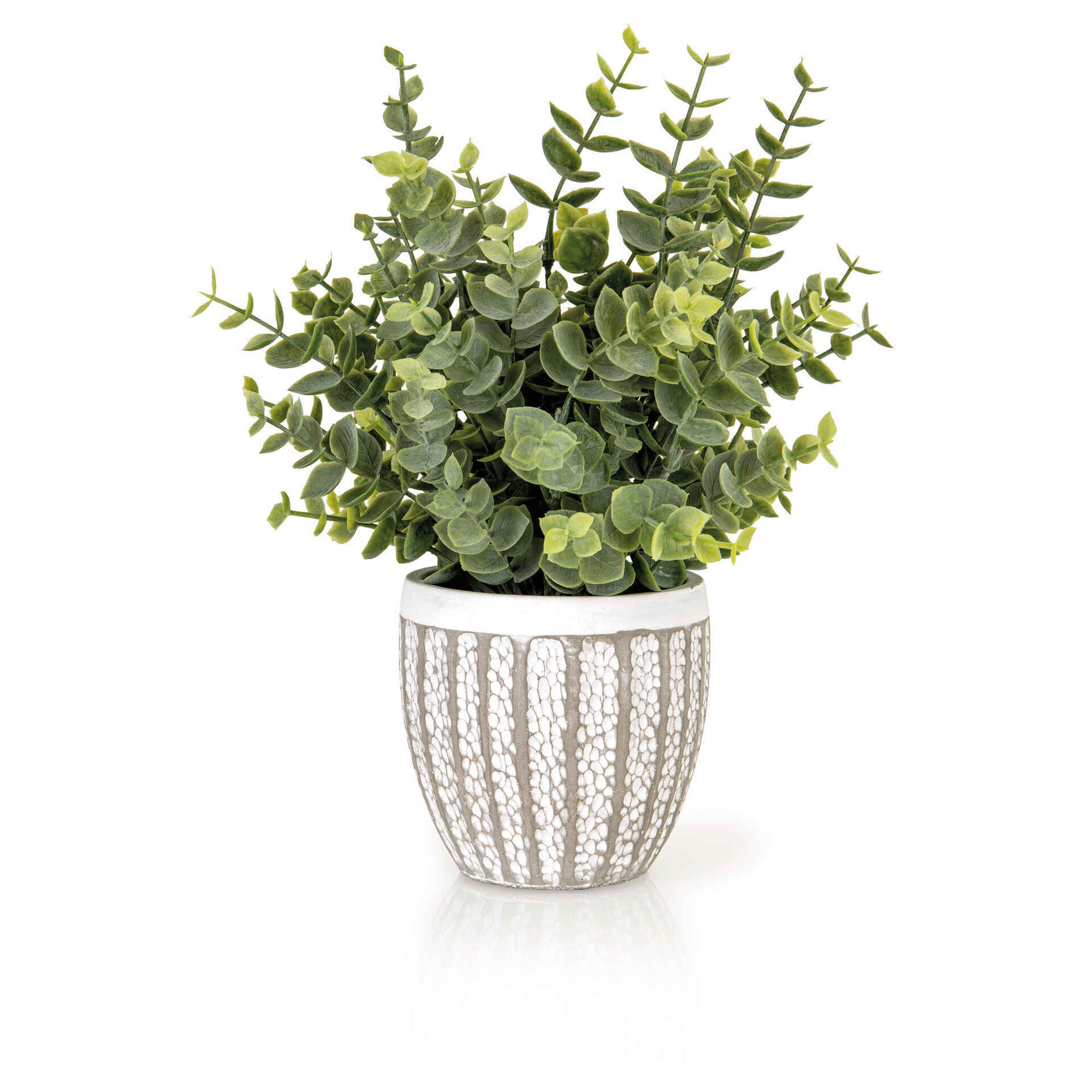 Vaso Cimento com Suculenta Eucalipto Artificial