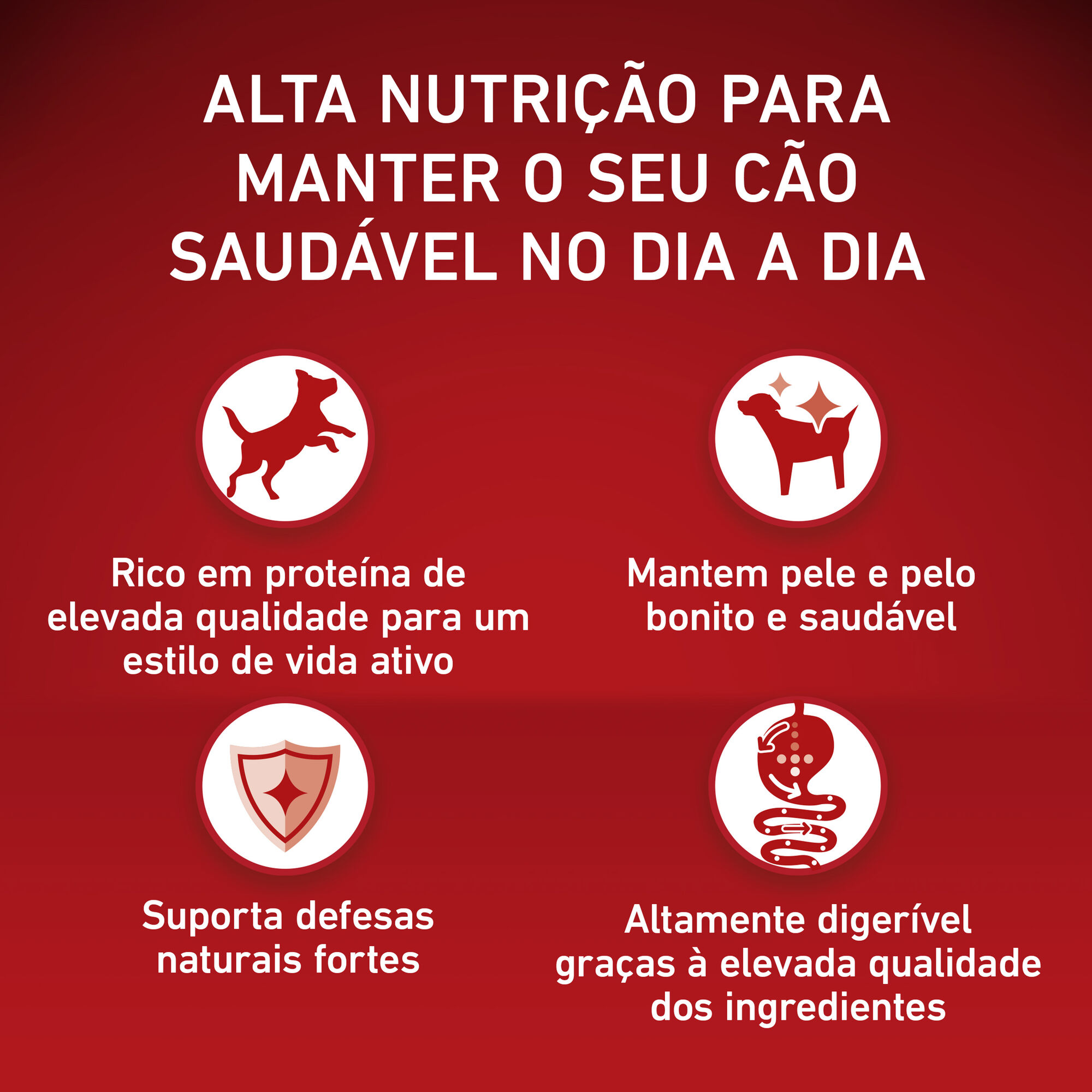 Ra&ccedil;&atilde;o para C&atilde;o J&uacute;nior Mini Frango e Arroz Purina One Mini