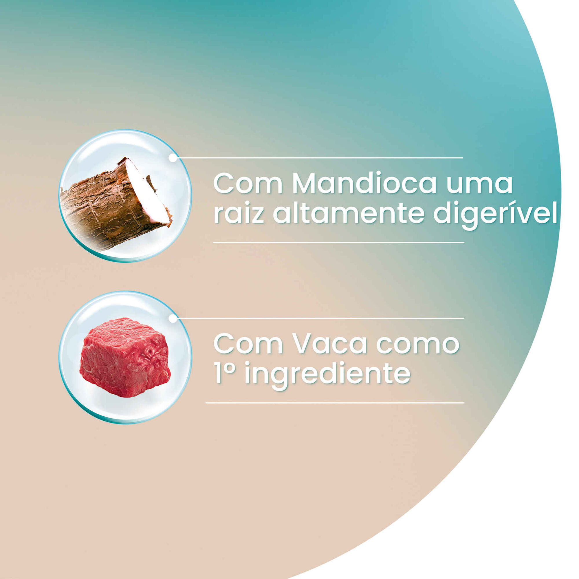 Ra&ccedil;&atilde;o para Gato Adulto Esterilizado Vaca Purina One Dual