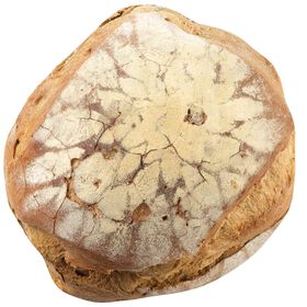 Pão Escuro Massa Mãe