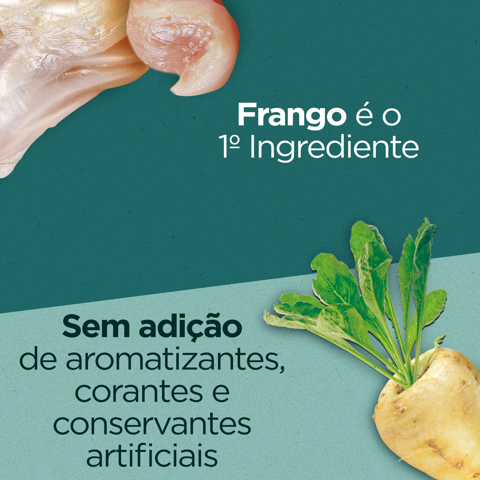 Ração para Gato Adulto Frango