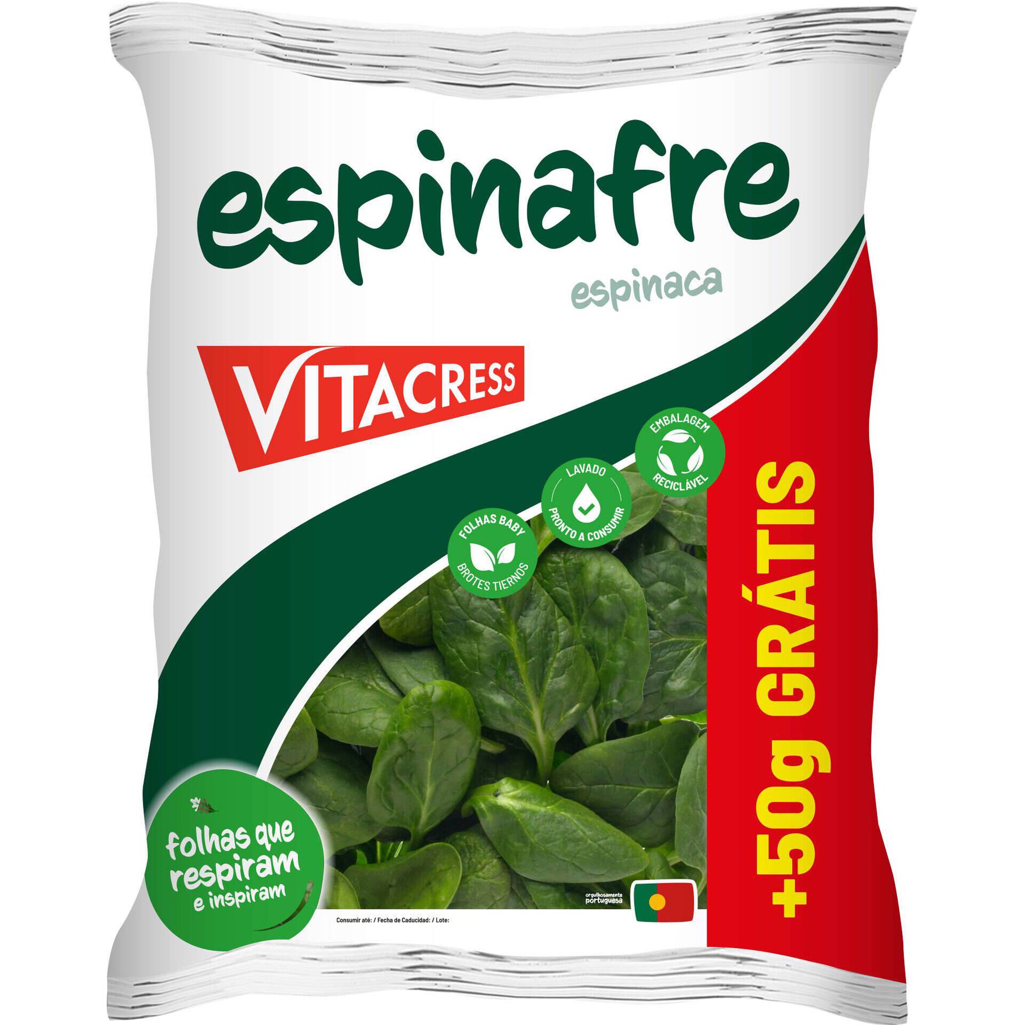 Espinafre