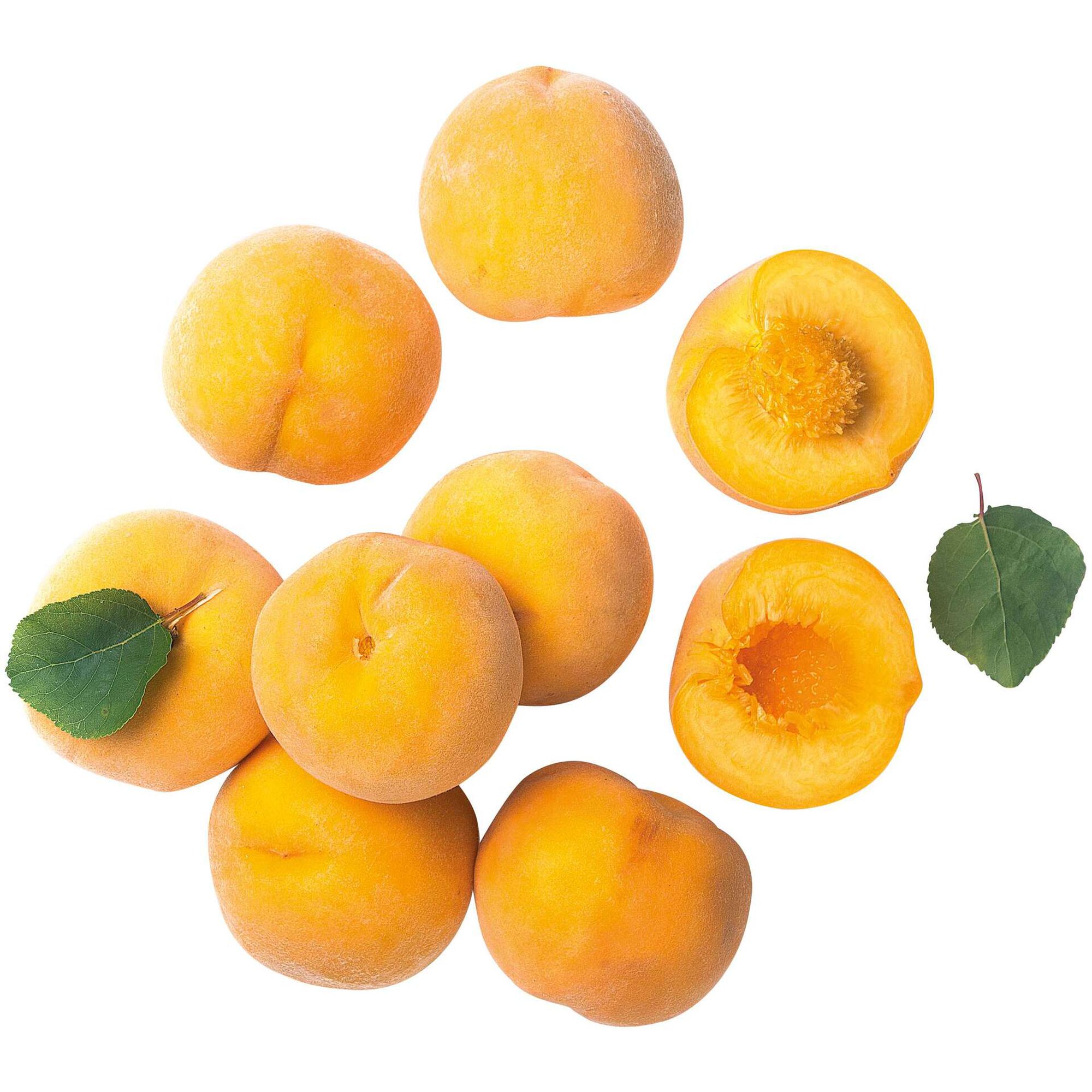Pêssego "Roer" Amarelo Pêssego "Roer" Amarelo