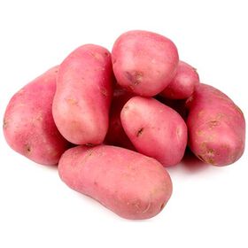 Batata Vermelha Batata Vermelha