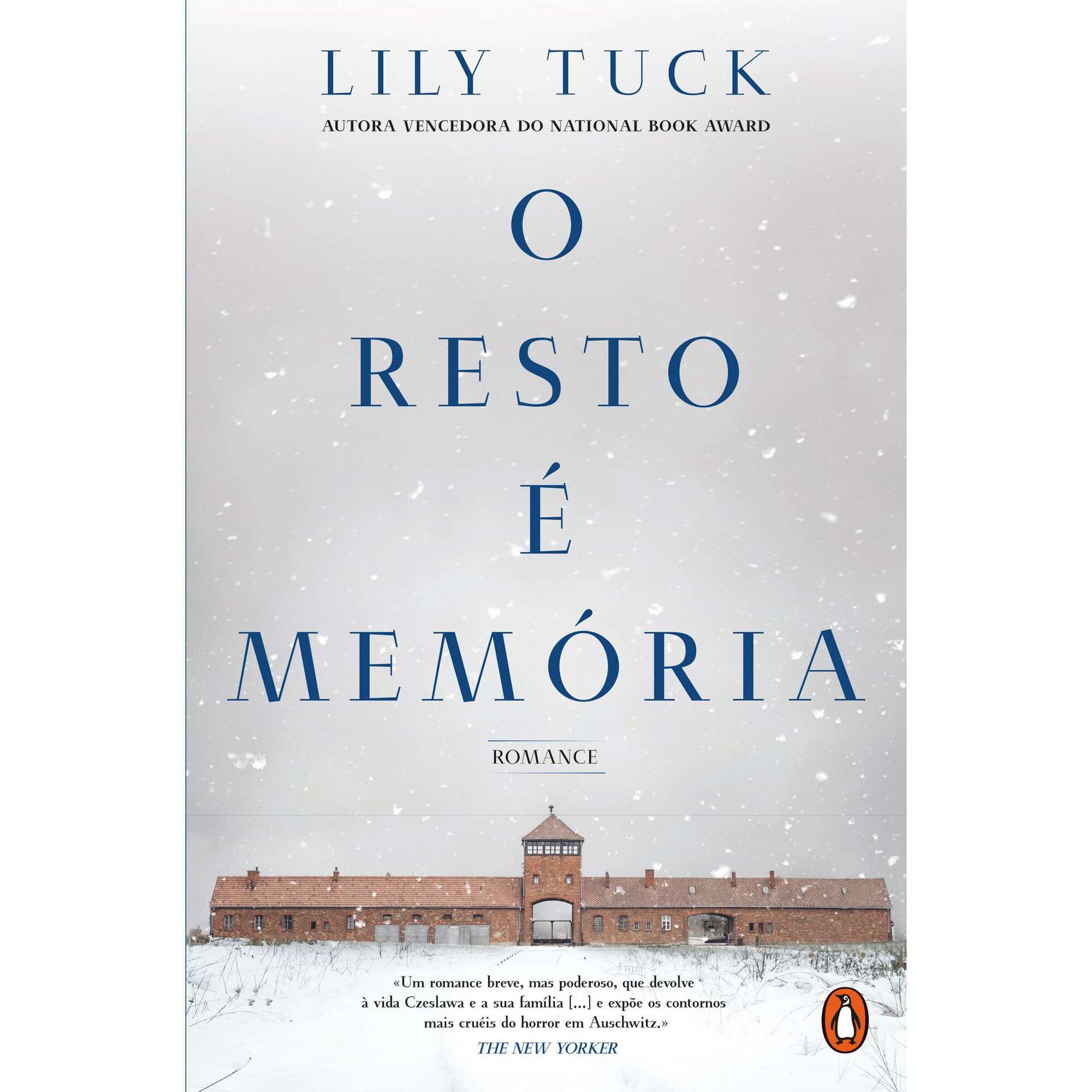 O Resto &eacute; Mem&oacute;ria de Lily Tuck