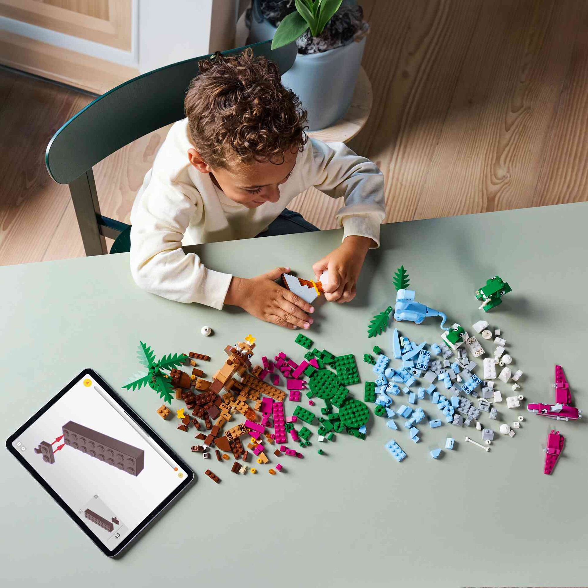 Dinossauros Criativos - 11041