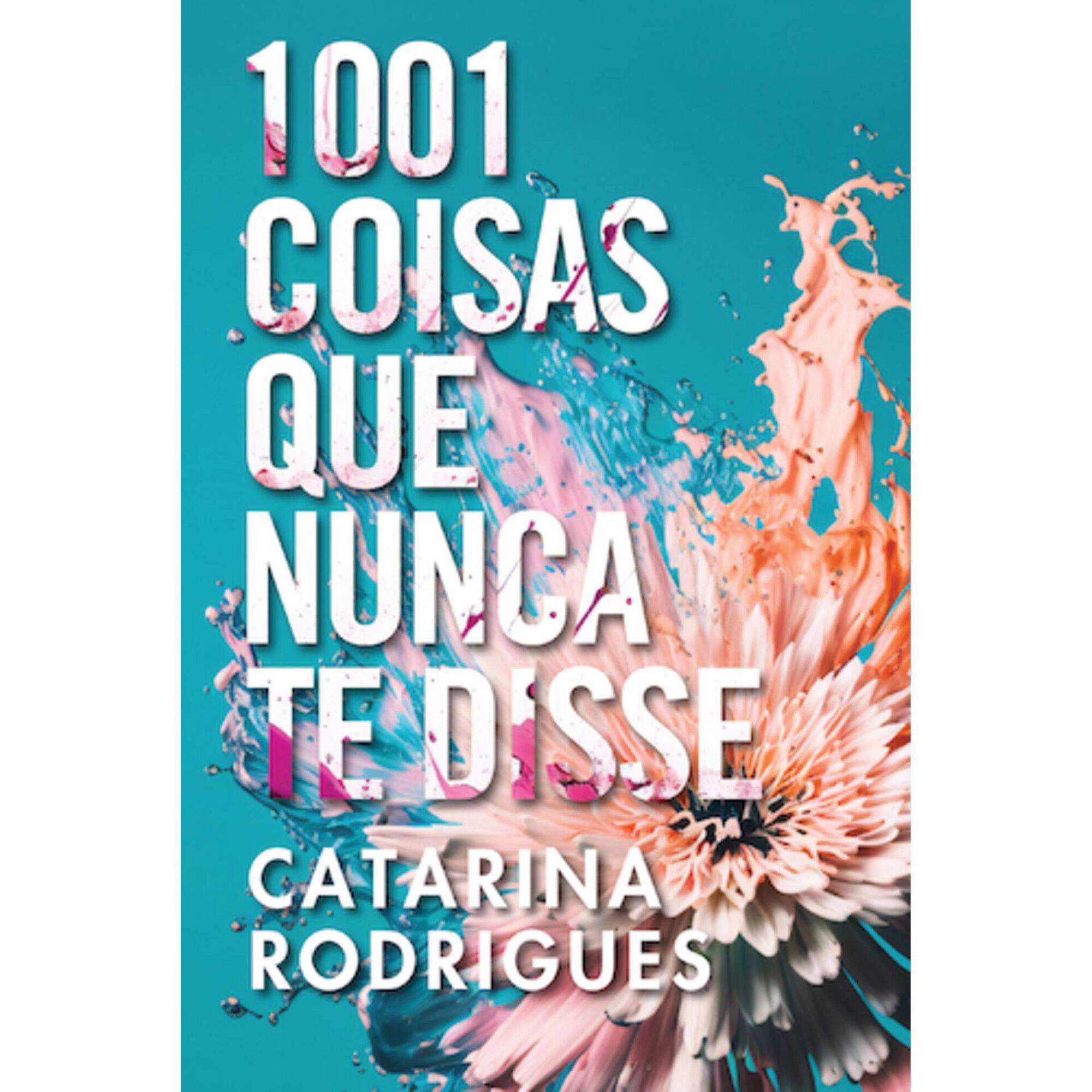 1001 Coisas que Nunca te Disse