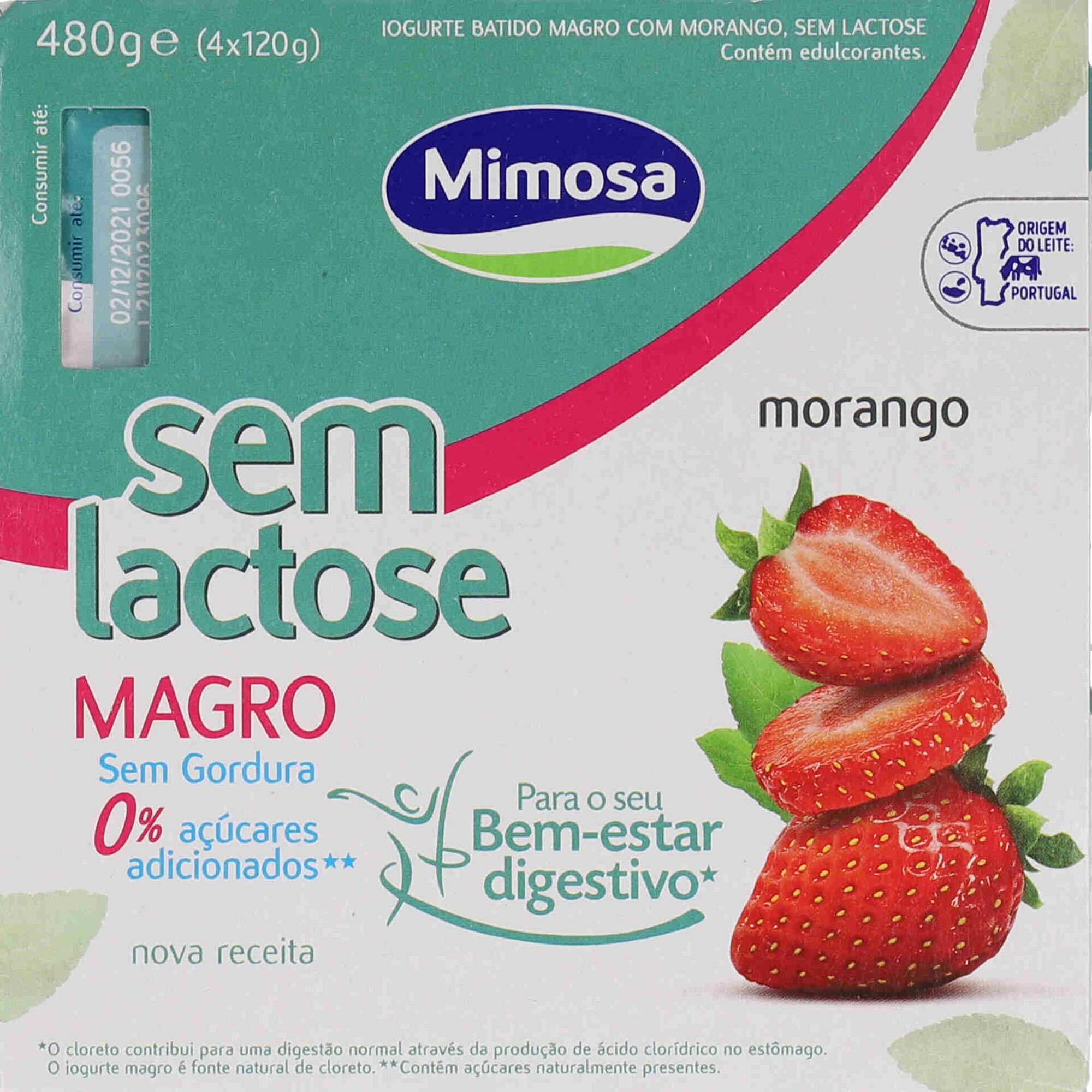 Iogurte Magro Morango sem Lactose