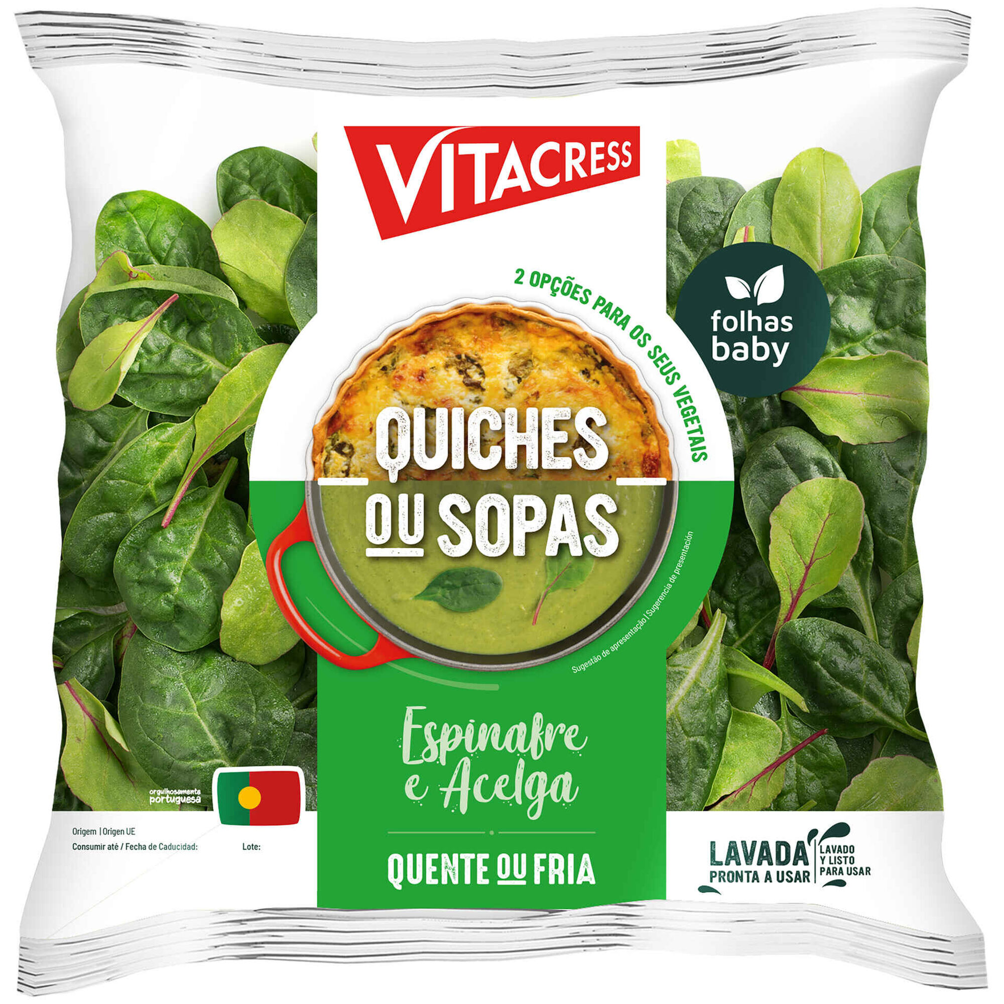 Espinafre e Acelga para Quiches ou Sopas Espinafre e Acelga para Quiches ou Sopas