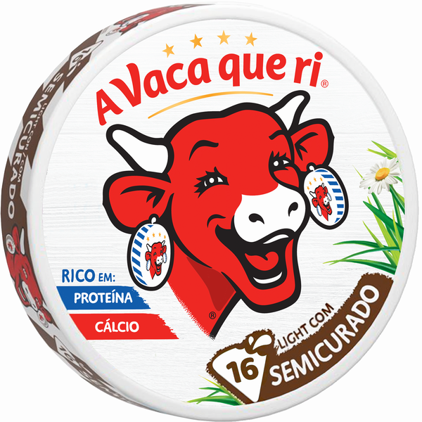 Queijo Fundido Curado Light Porções A Vaca que ri