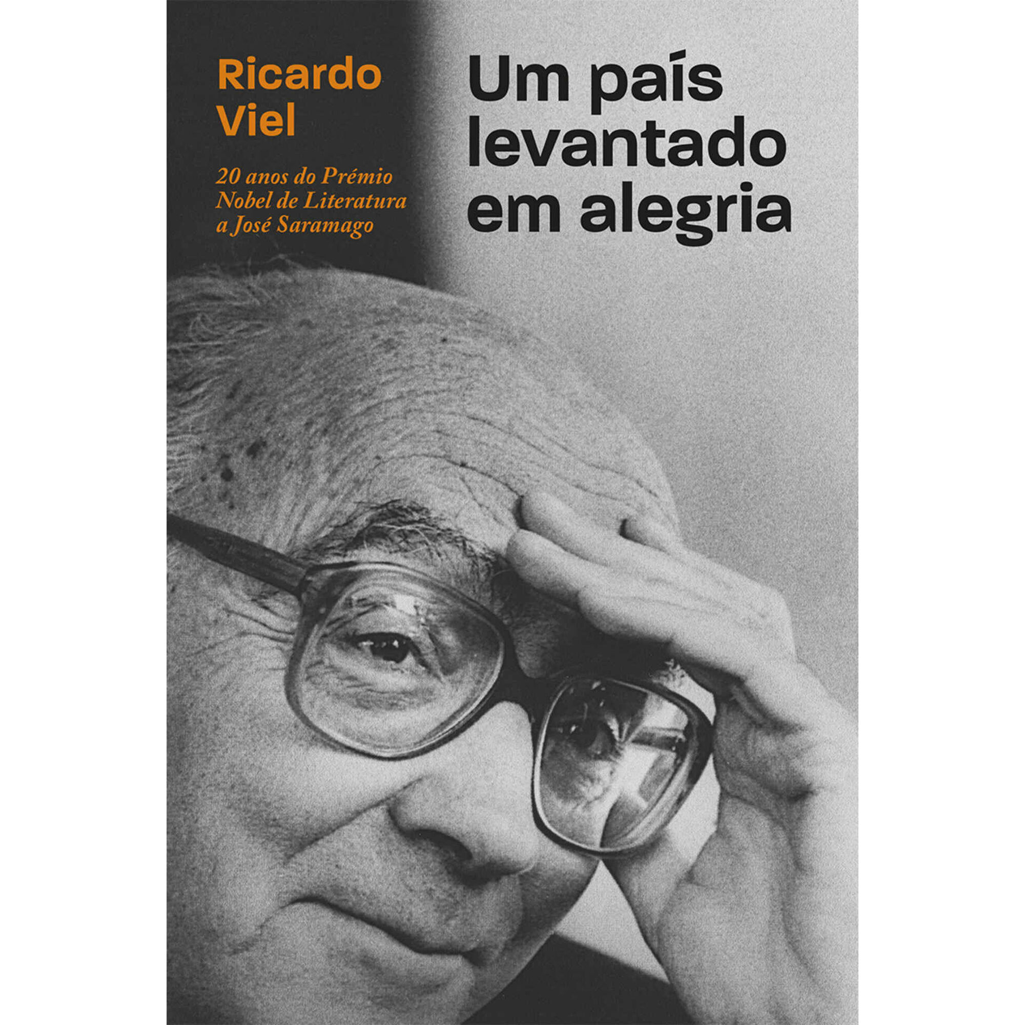 Um Pa&iacute;s Levantado em Alegria de Ricardo Viel
