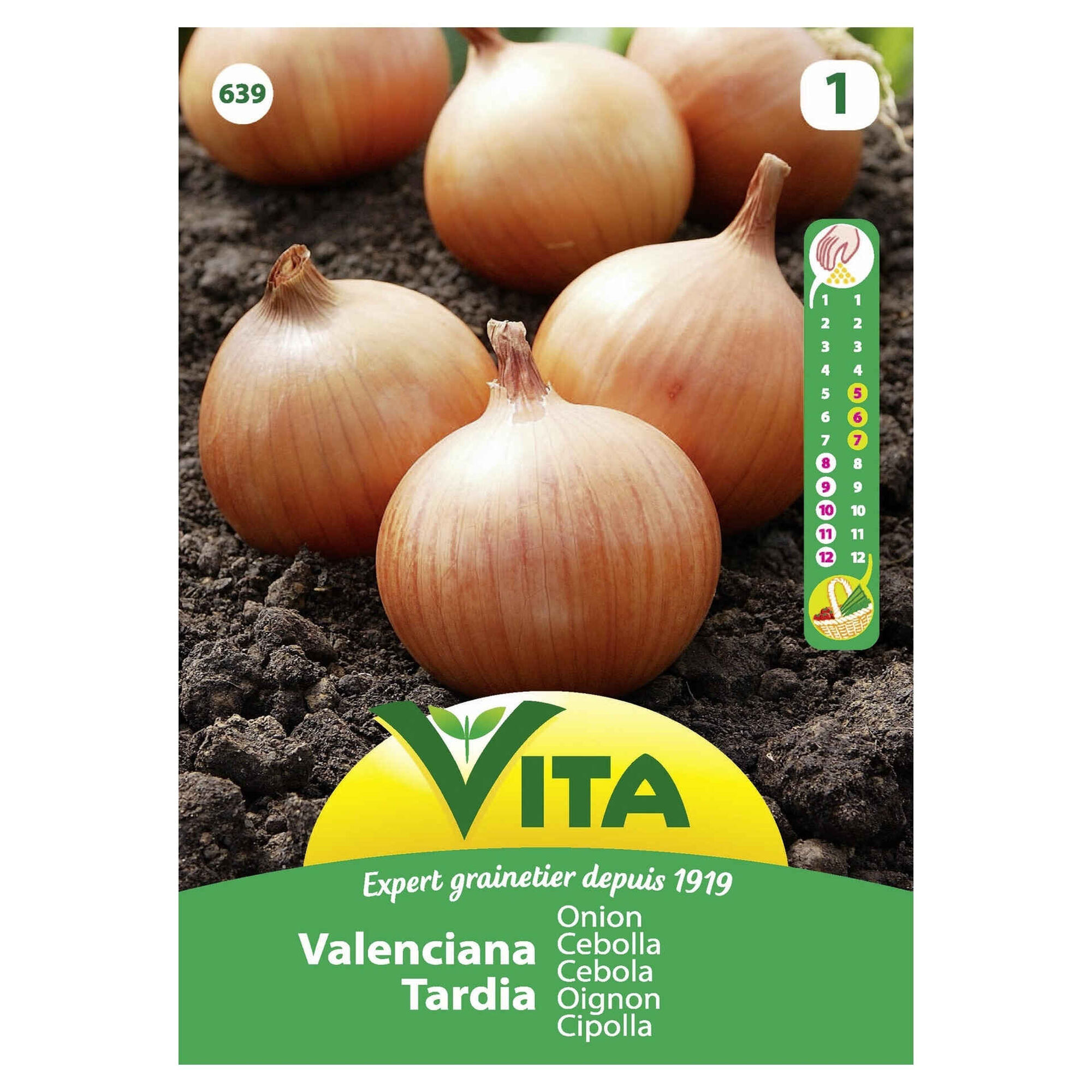 Sementes Hortícolas Cebola Valenciana Sementes Hortícolas Cebola Valenciana