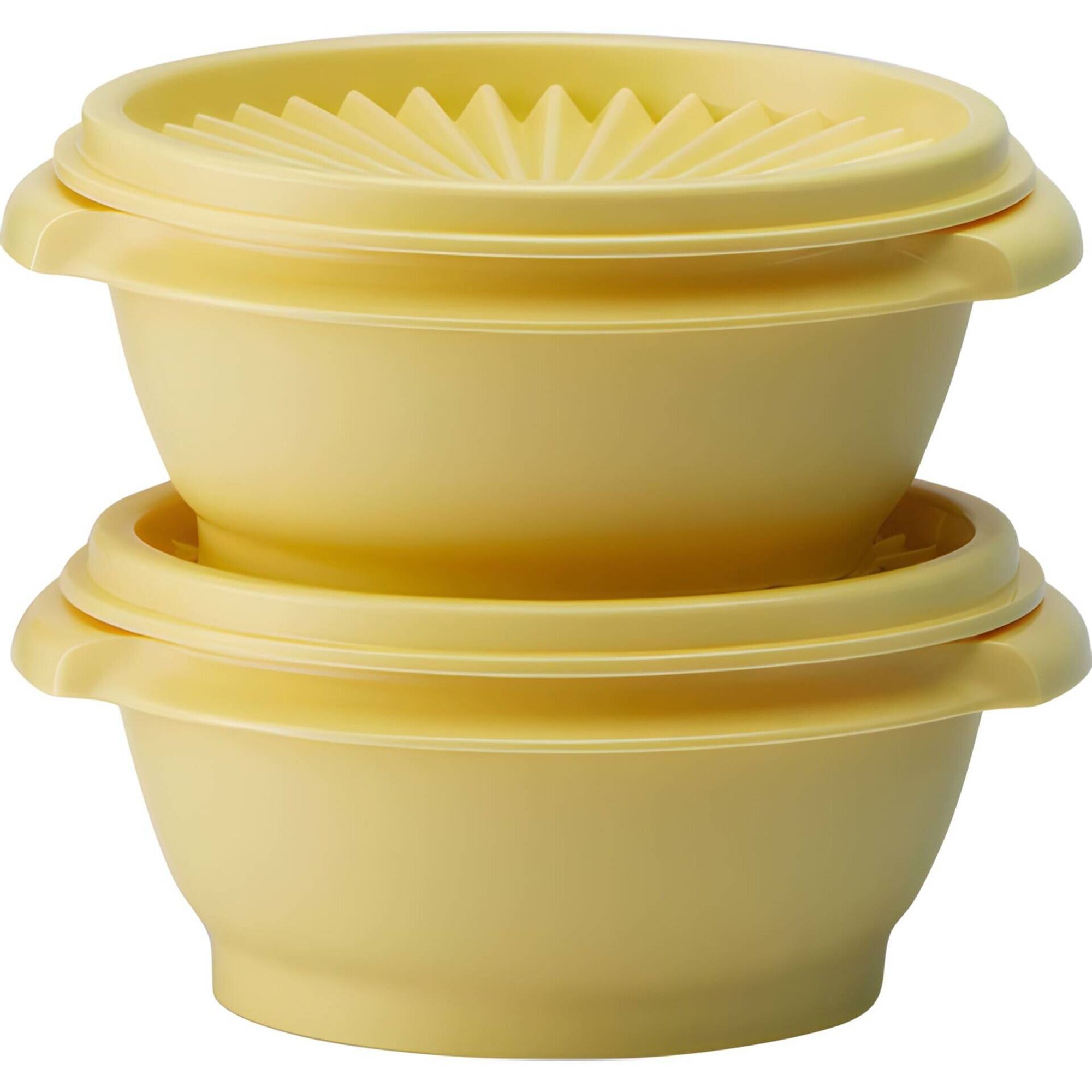 Conjunto de 2 Recipientes de Armazenar e Servir Tupperware