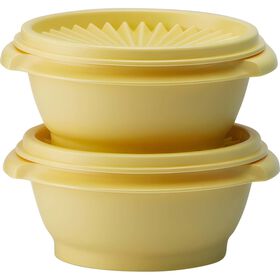 Conjunto de 2 Recipientes de Armazenar e Servir Tupperware