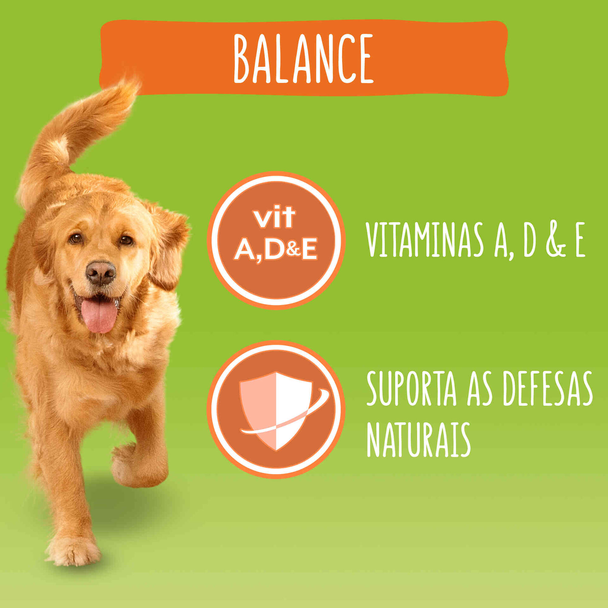 Ração para Cão Adulto Balance Frango e Legumes