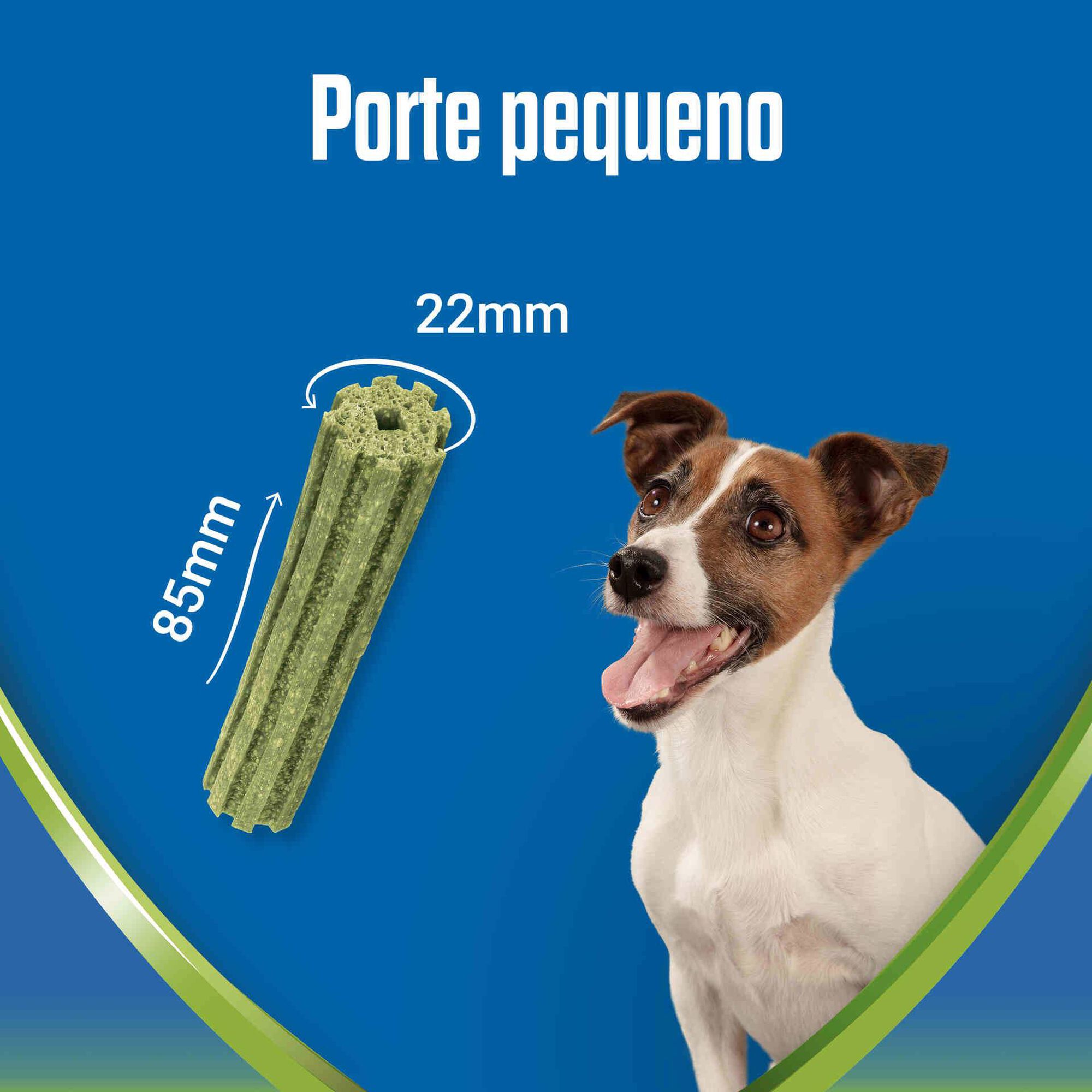 Snack para Cão Mini Activefresh