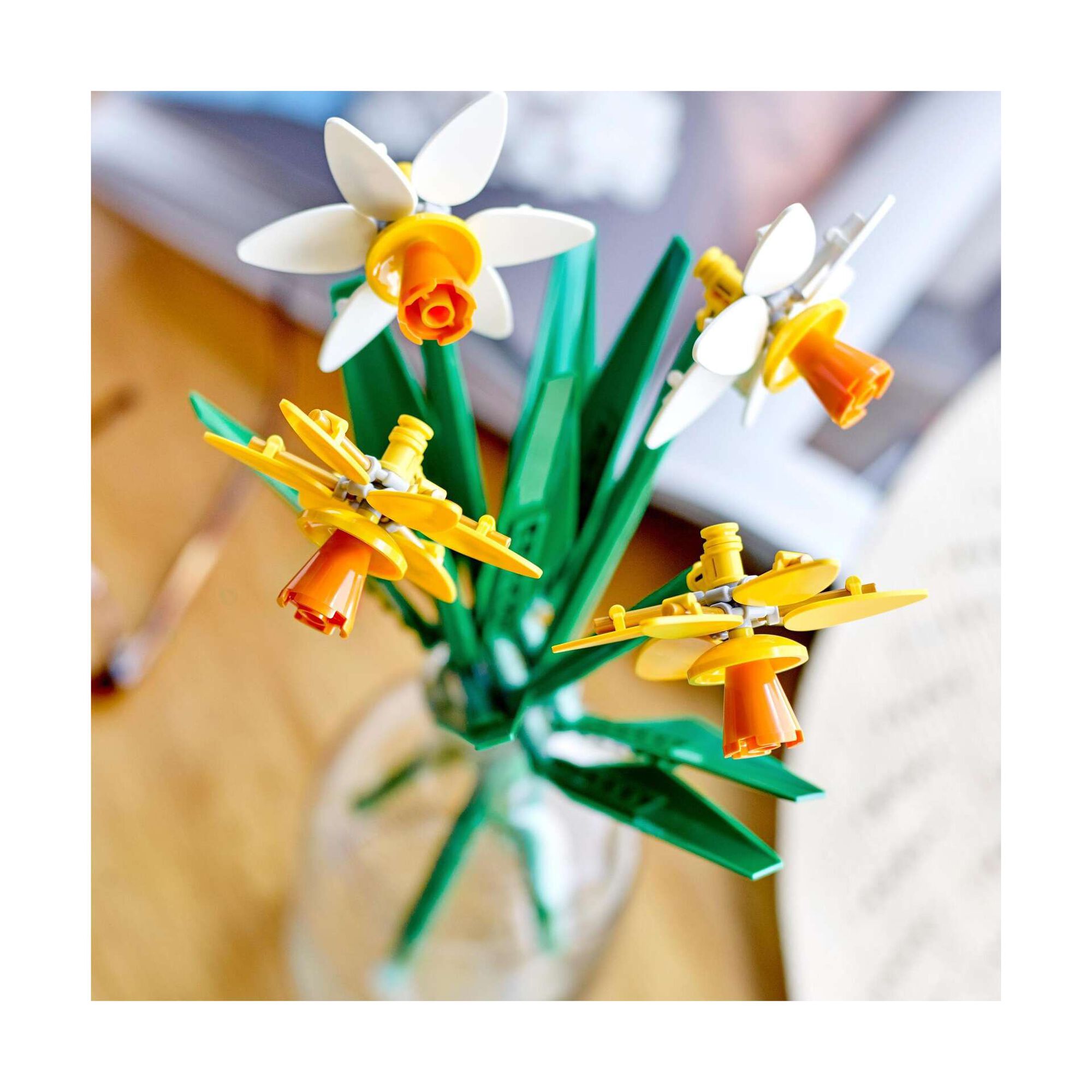 Narcisos - 40747