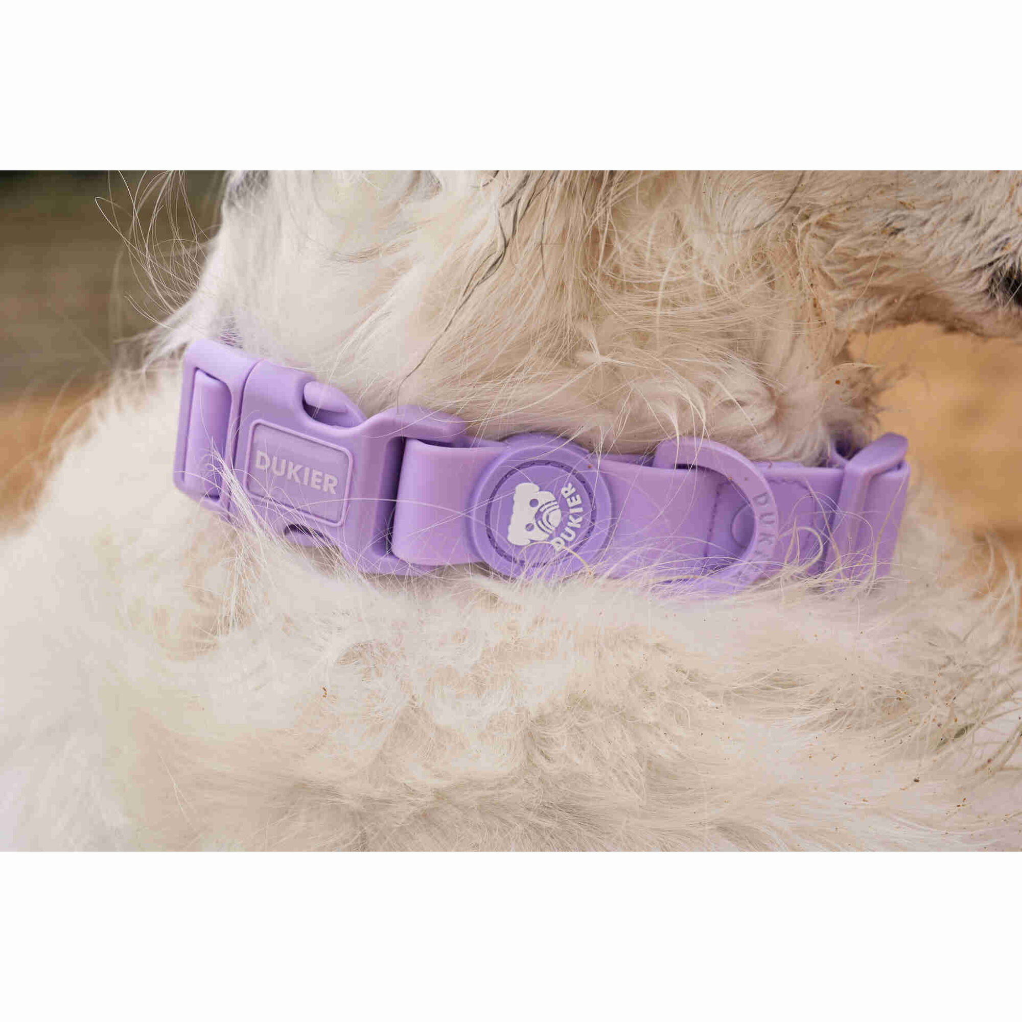 Coleira para C&atilde;o Waterproof Purple L Dukier