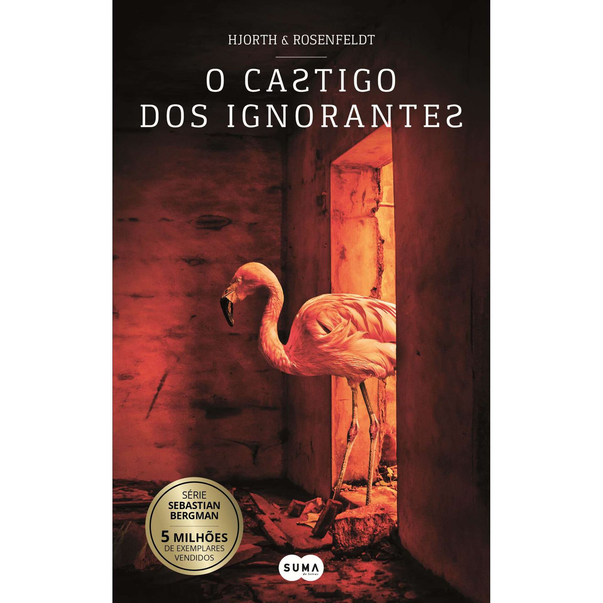 O Castigo dos Ignorantes (Livro de Bolso)