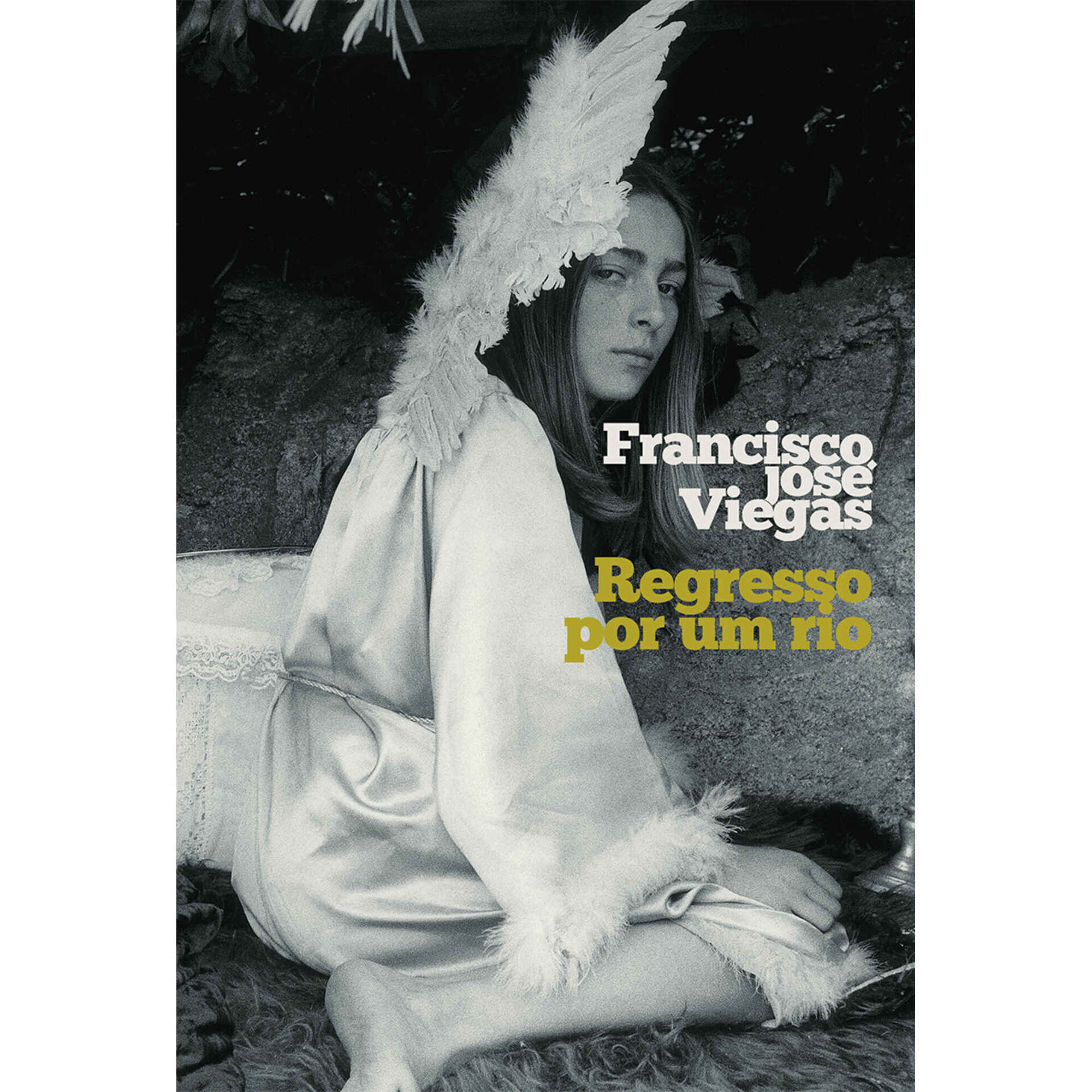 Regresso por um Rio de Francisco Jos&eacute; Viegas