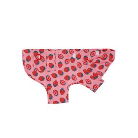 Imperme&aacute;vel para C&atilde;o Berry Love XXL Dukier