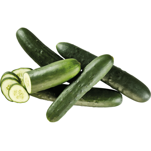 Pepino Continente