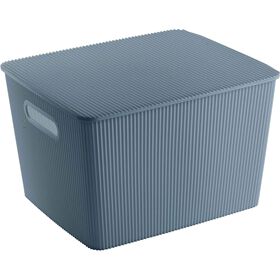 Caixa Arruma&ccedil;&atilde;o com Tampa Azul 15L Kasa