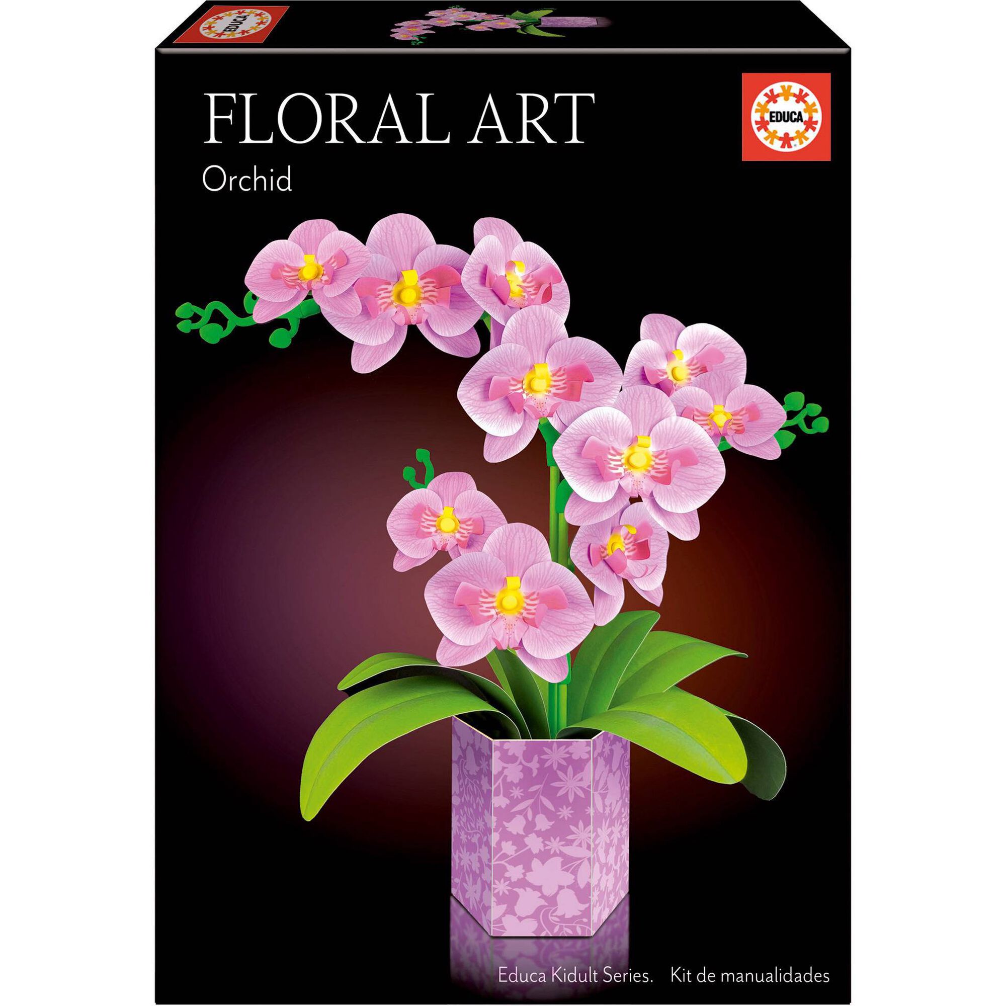 Orquídea Floral Arte