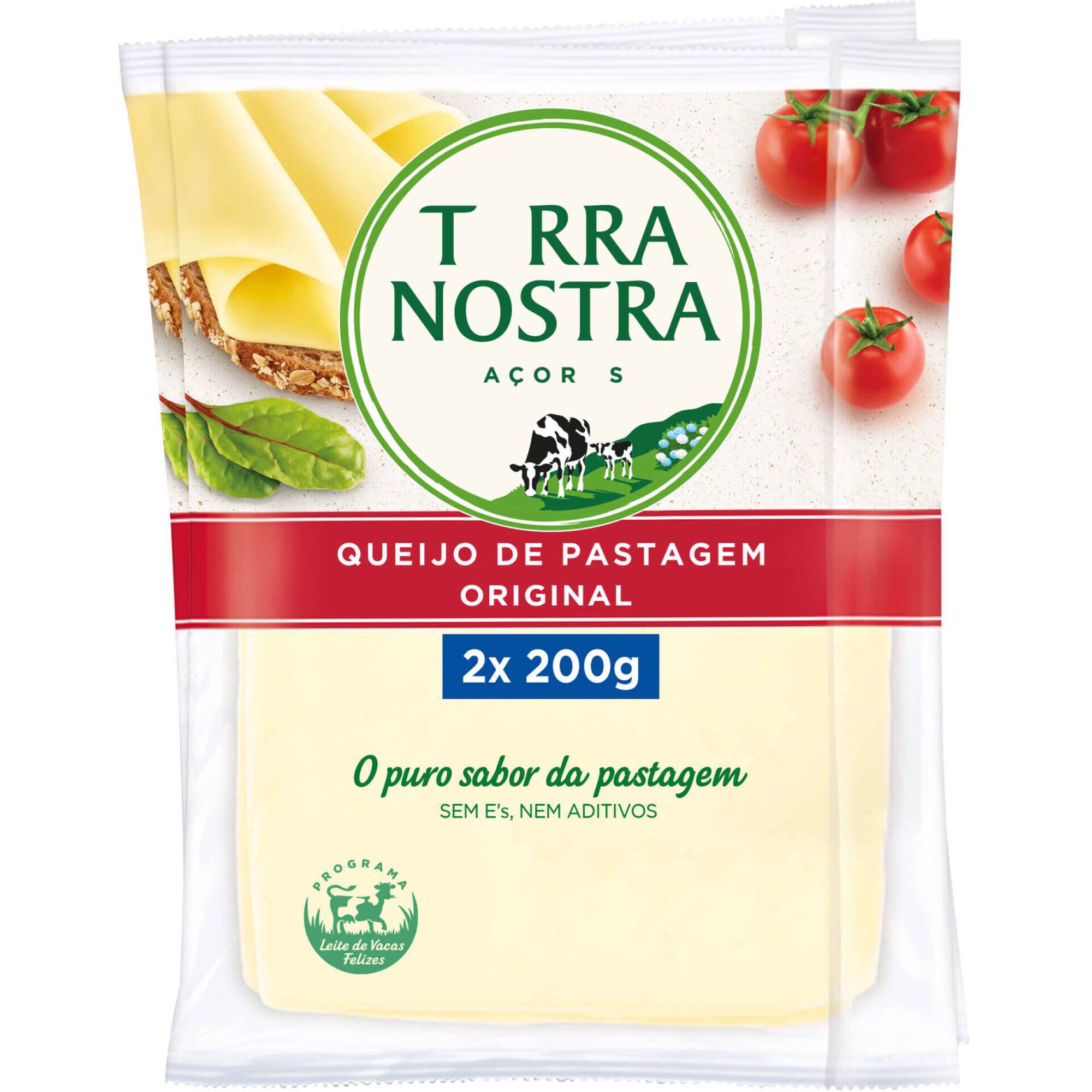 Queijo Flamengo sem Lactose Fatiado Terra Nostra