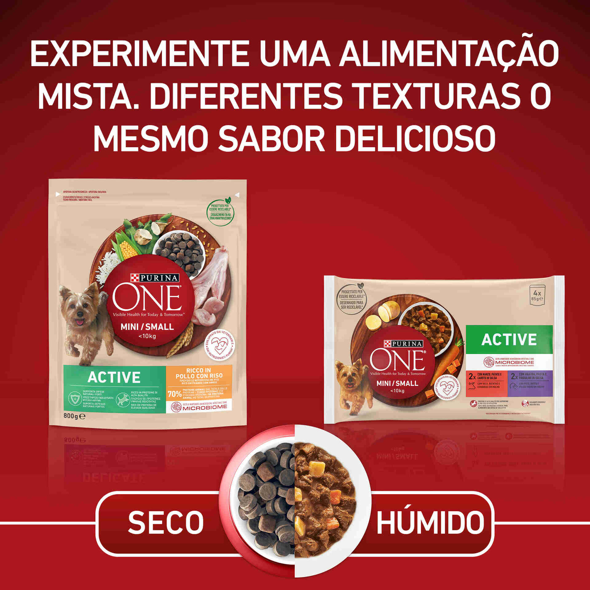 Ração para Cão Adulto Mini Active Frango e Arroz