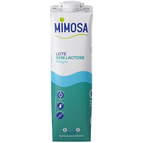 Leite UHT Magro sem Lactose