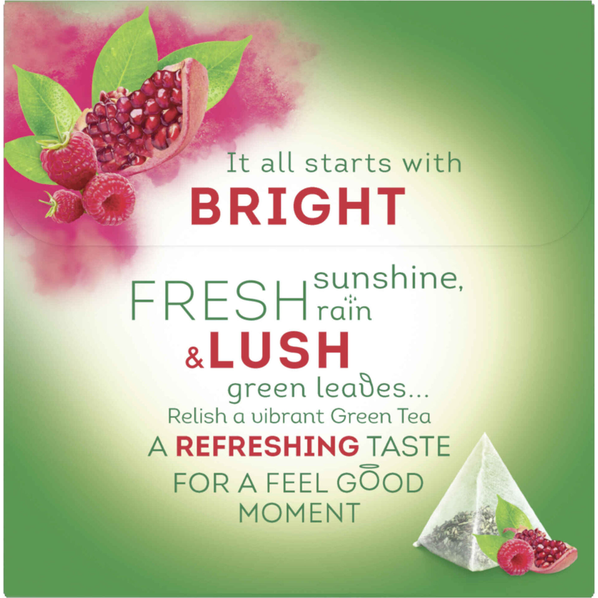 Chá Verde, Framboesa e Romã Pyramid Saquetas Chá Verde, Framboesa e Romã Pyramid Saquetas