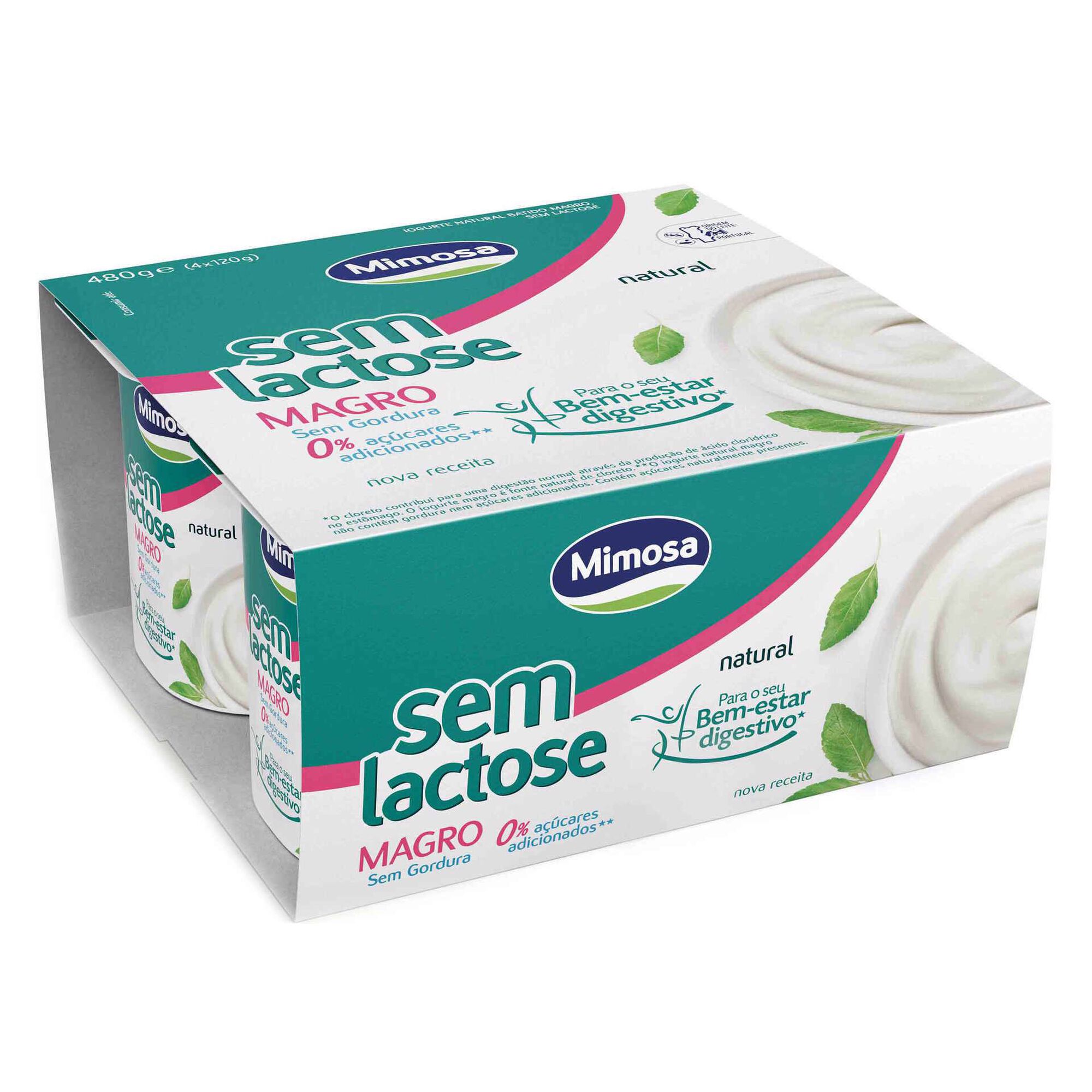 Iogurte Magro sem Lactose Natural Iogurte Magro sem Lactose Natural