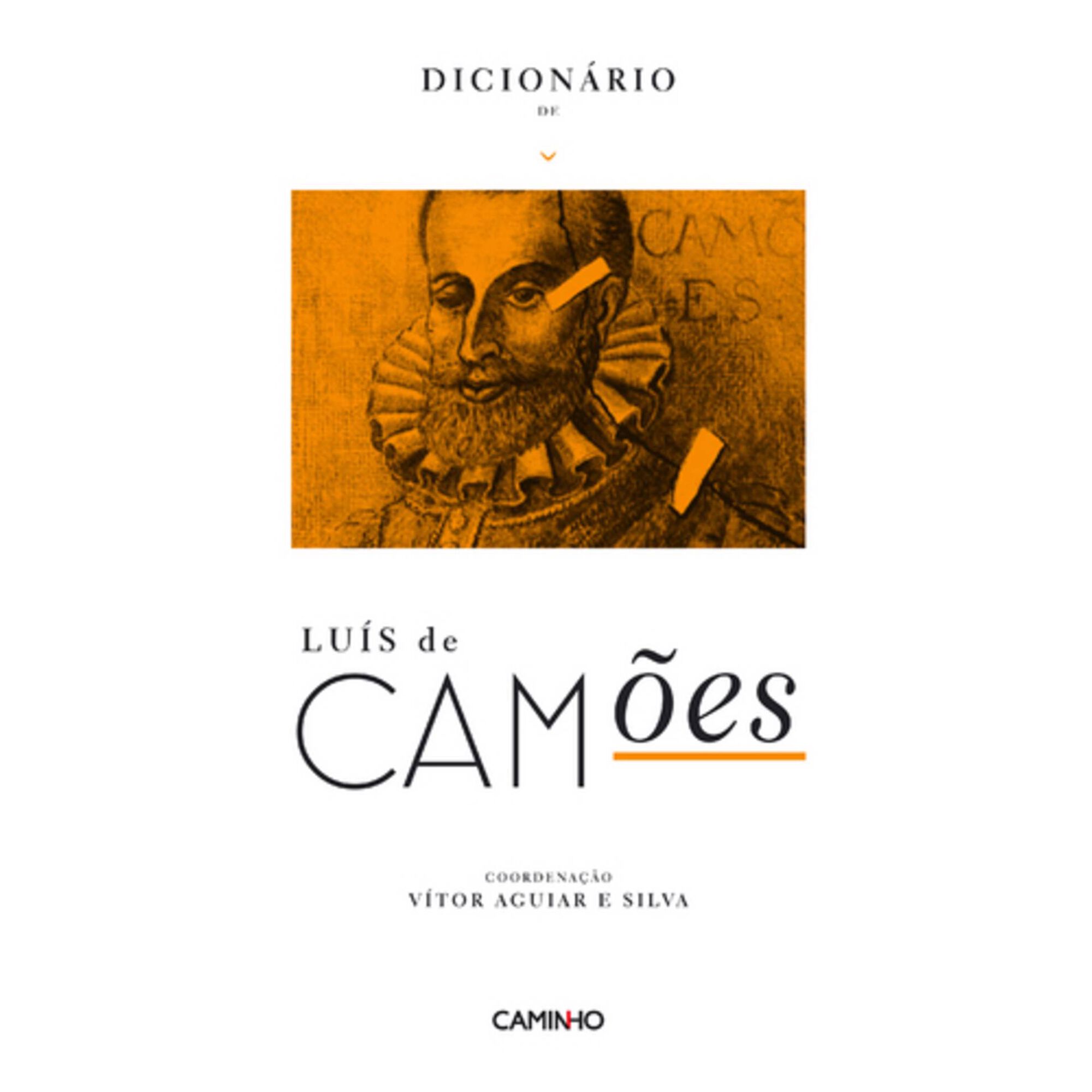 Dicion&aacute;rio de Lu&iacute;s de Cam&otilde;es de V&iacute;tor Aguiar e Silva