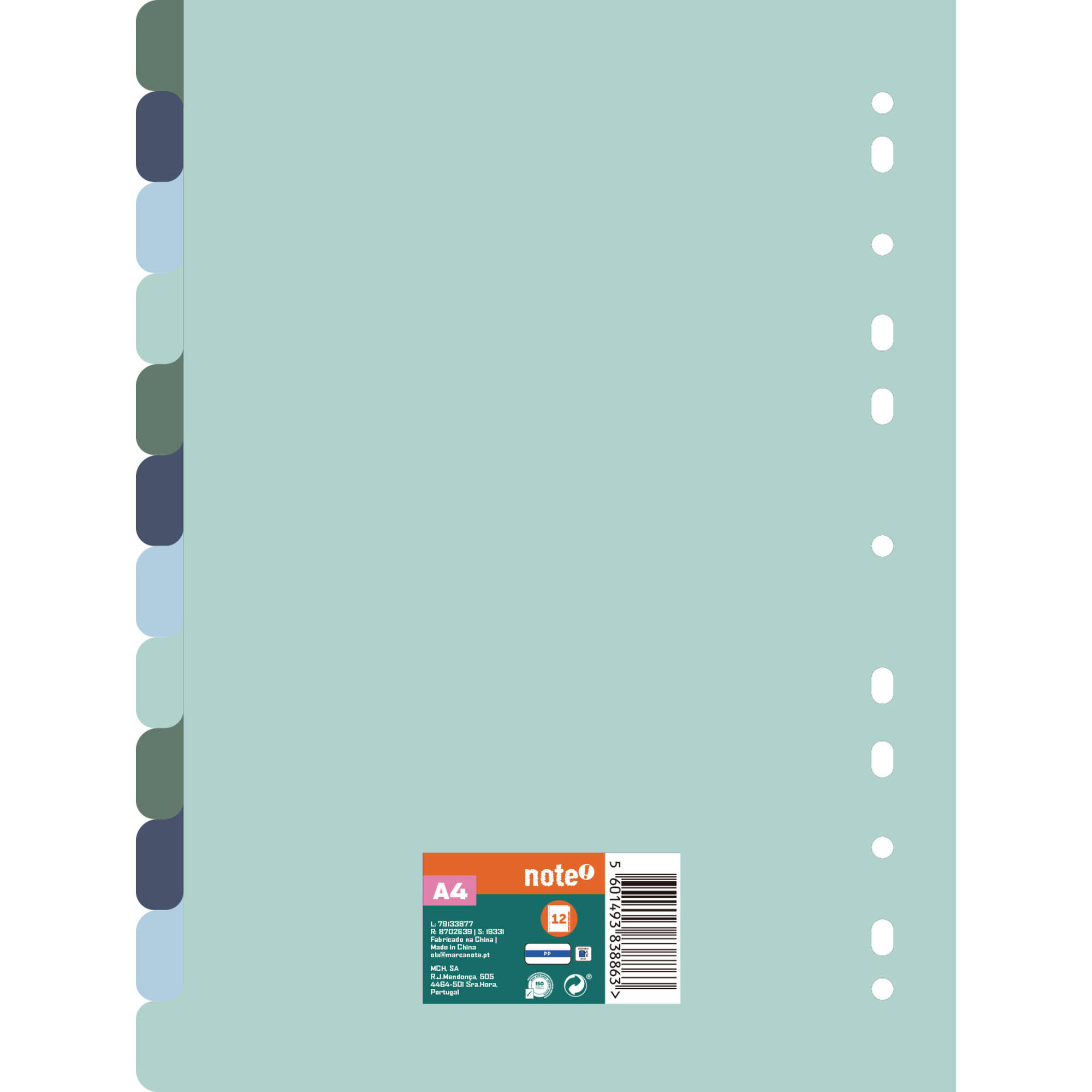 Separador com 12 Divis&oacute;rias A4 Verde e Azul Note!