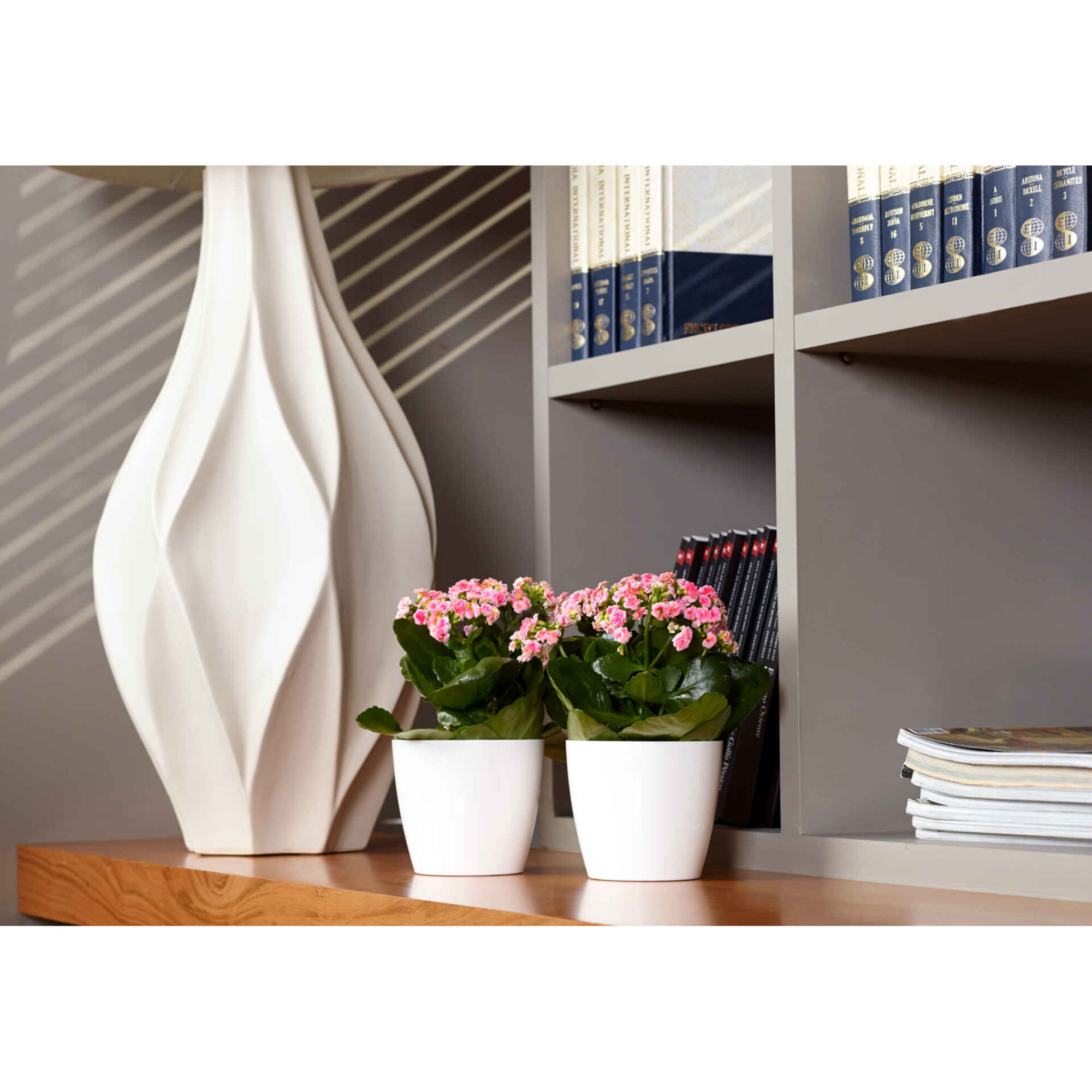 Vaso Redondo Plástico 12cm Transparente