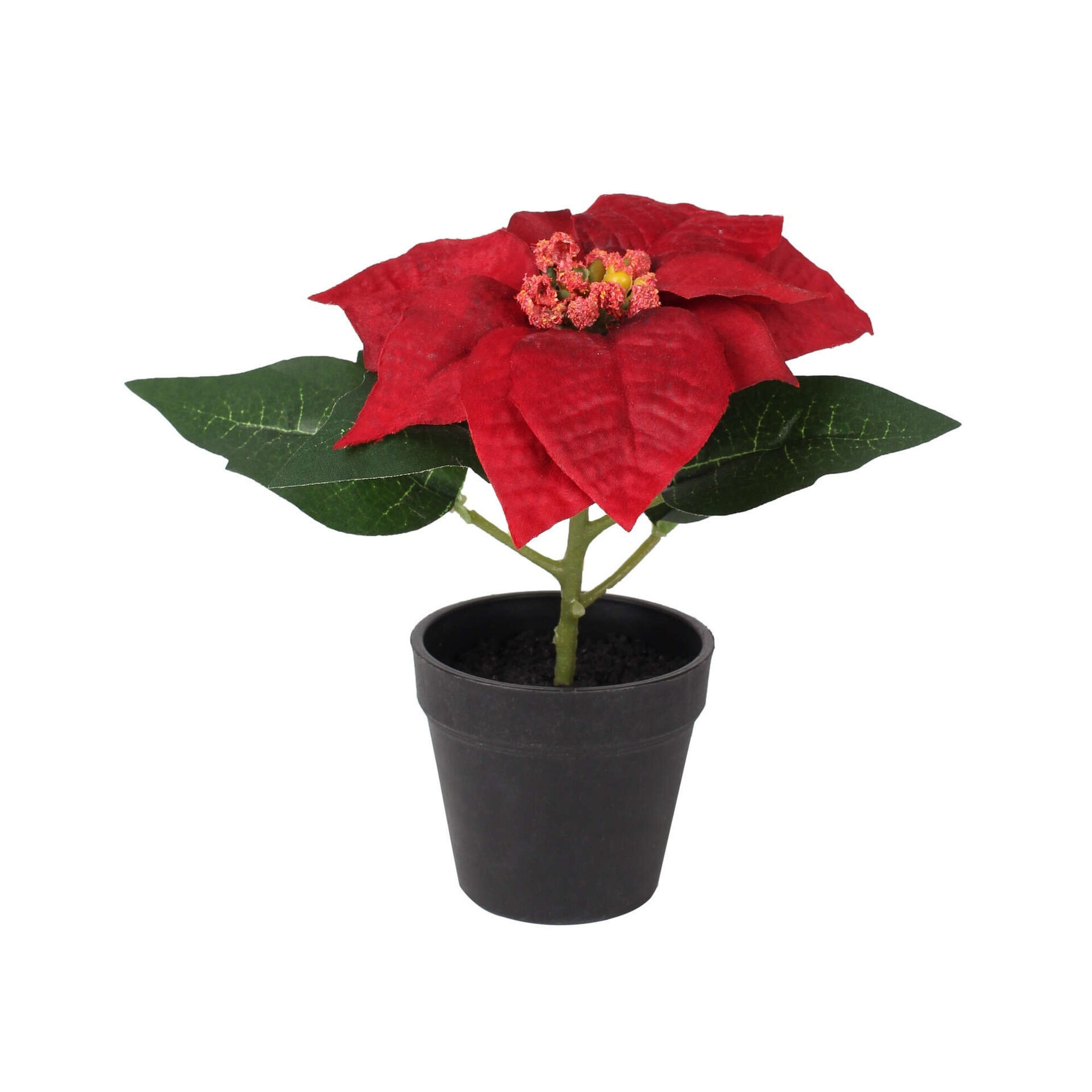 Vaso Poinsétia Vermelha 16,5cm