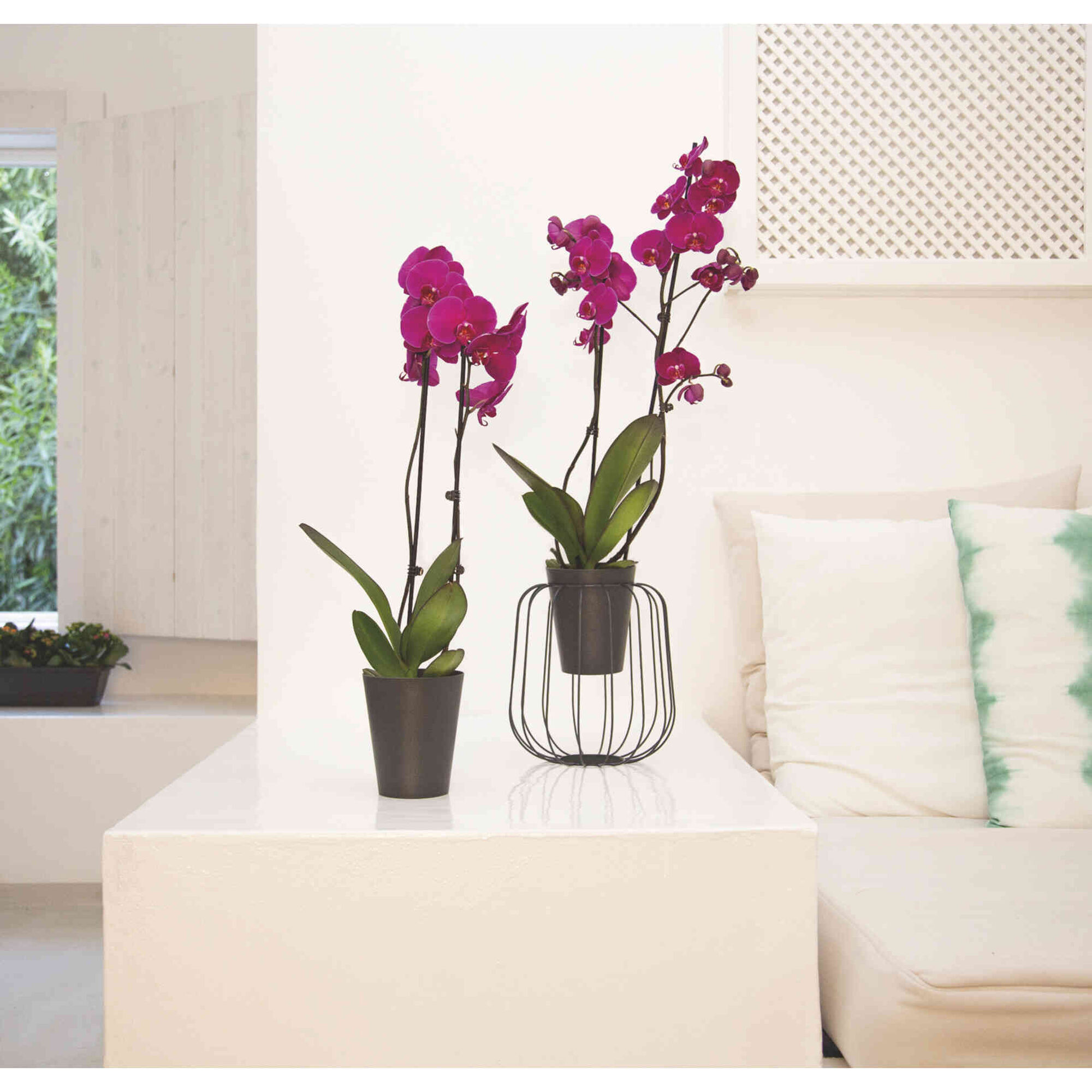 Vaso Redondo Plástico 12,5cm Branco