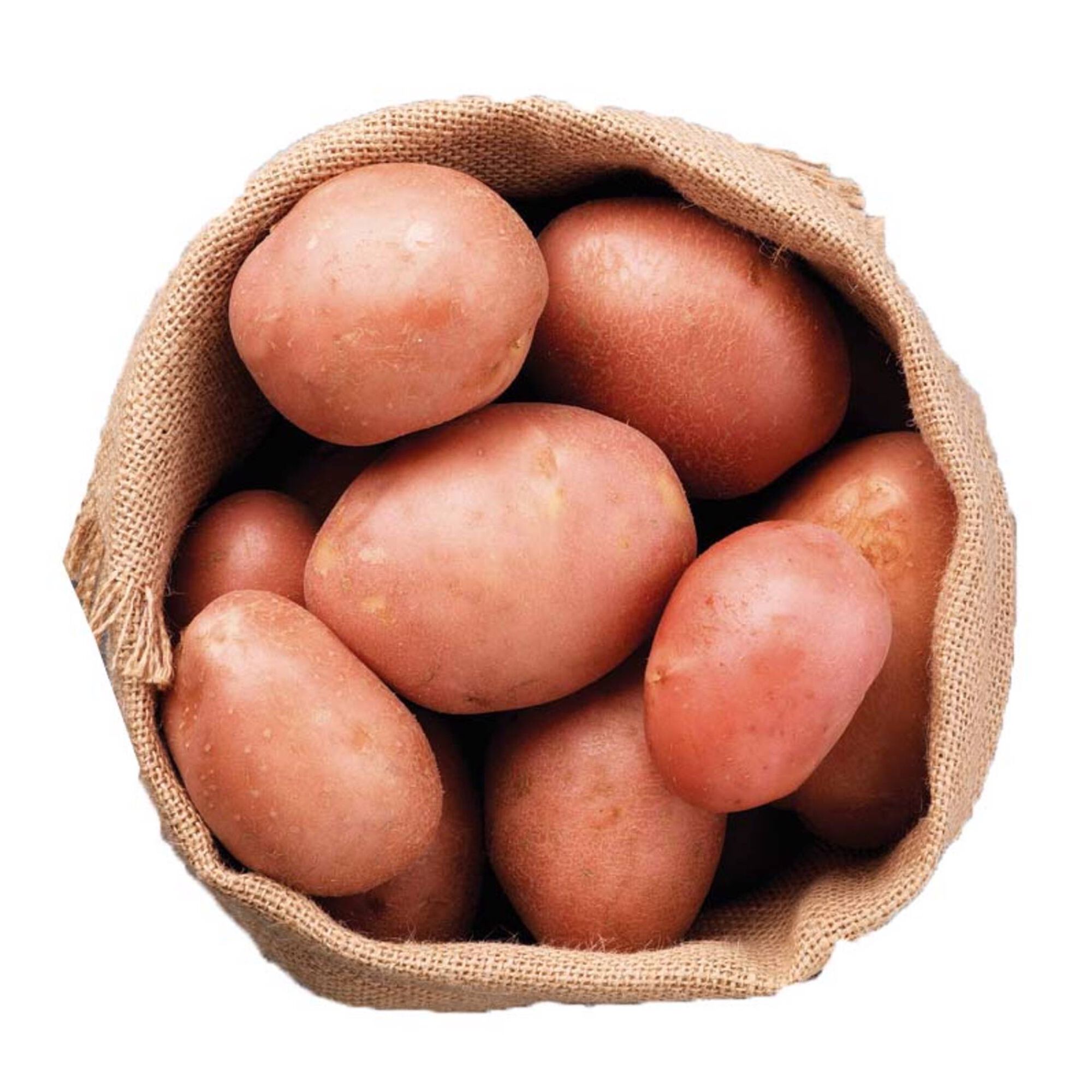 Batata Vermelha Batata Vermelha