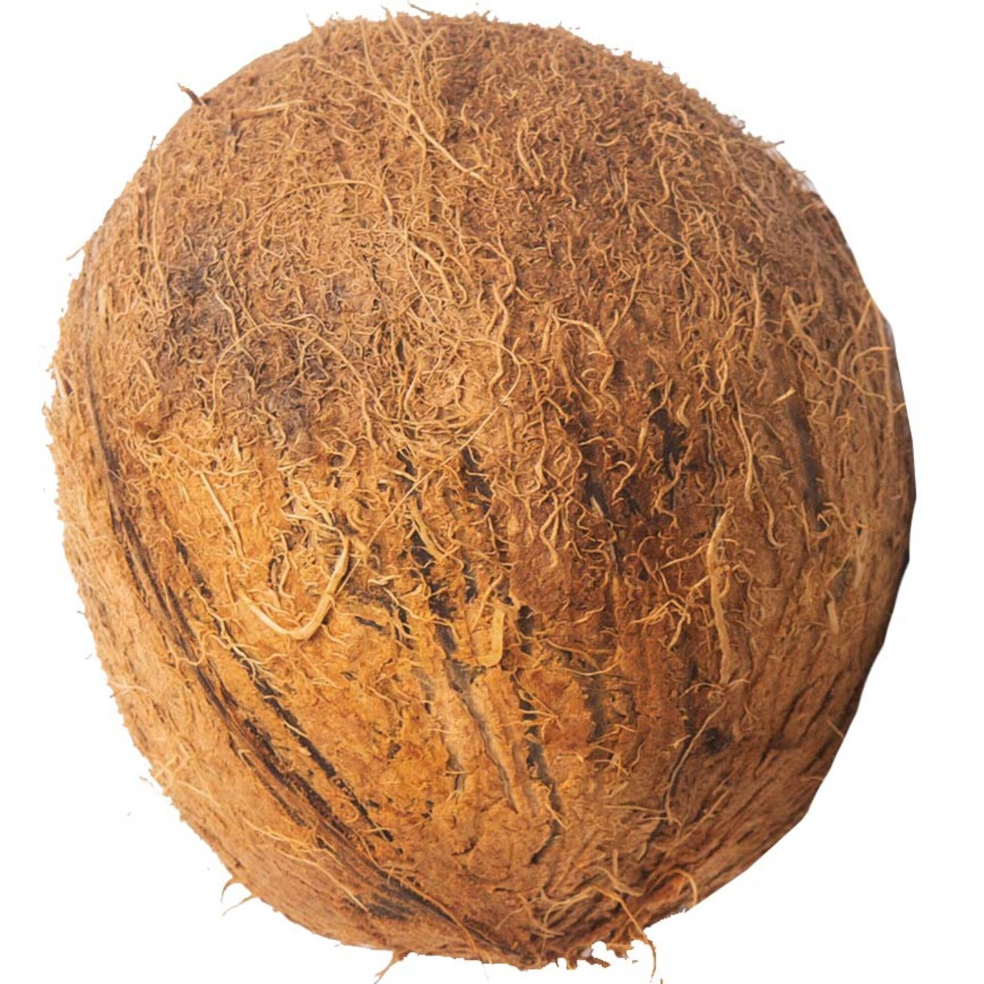 Coco Seco