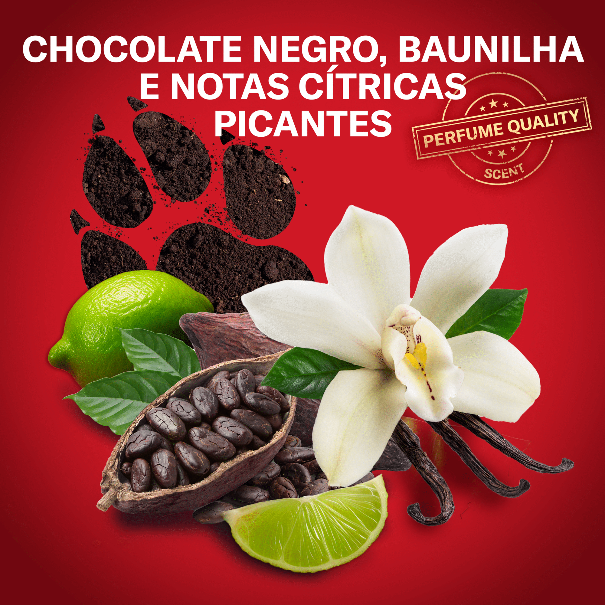 Desodorizante Stick Nightpanther